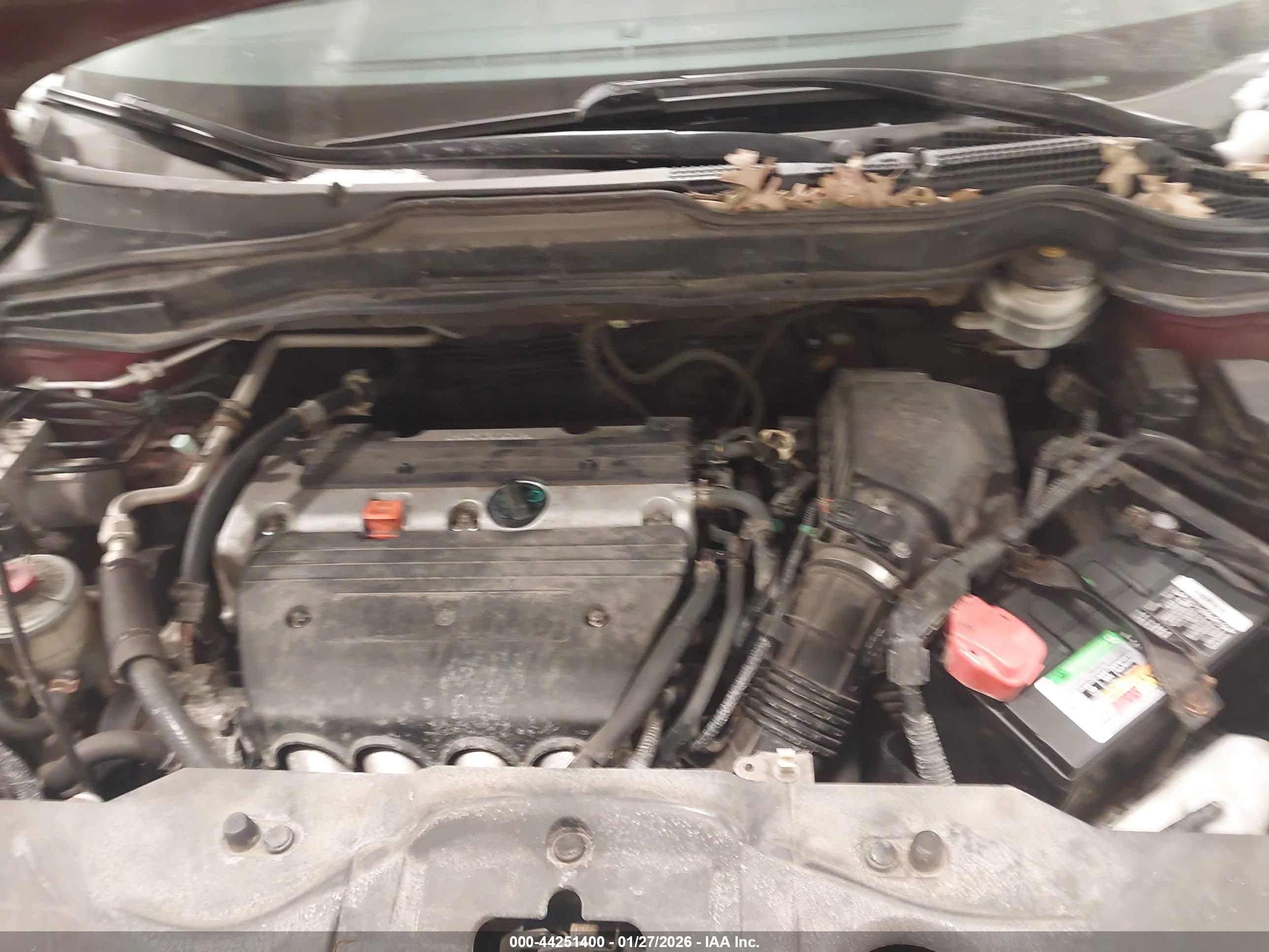 HONDA CR-V image 6