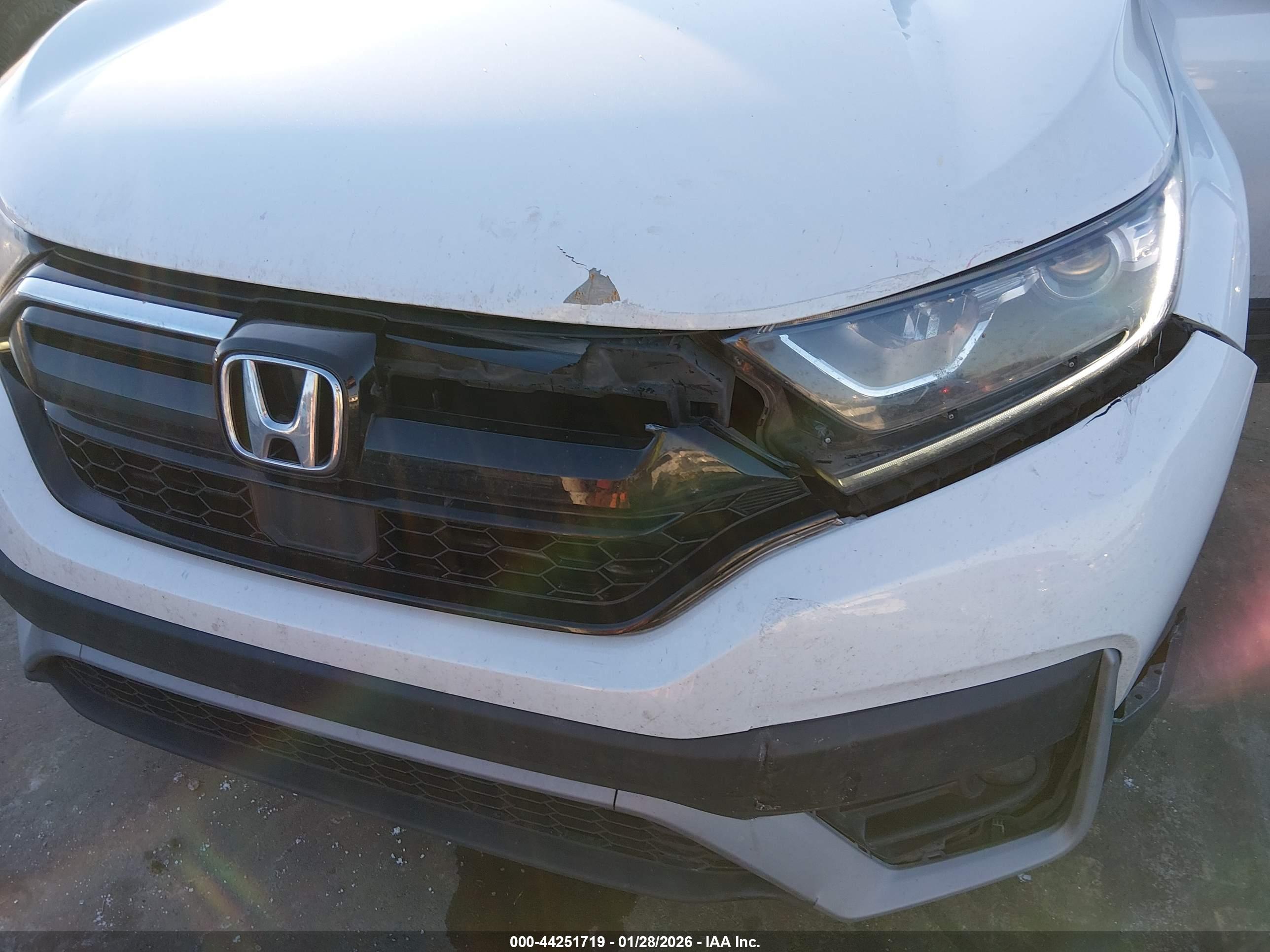 HONDA CR-V image 6