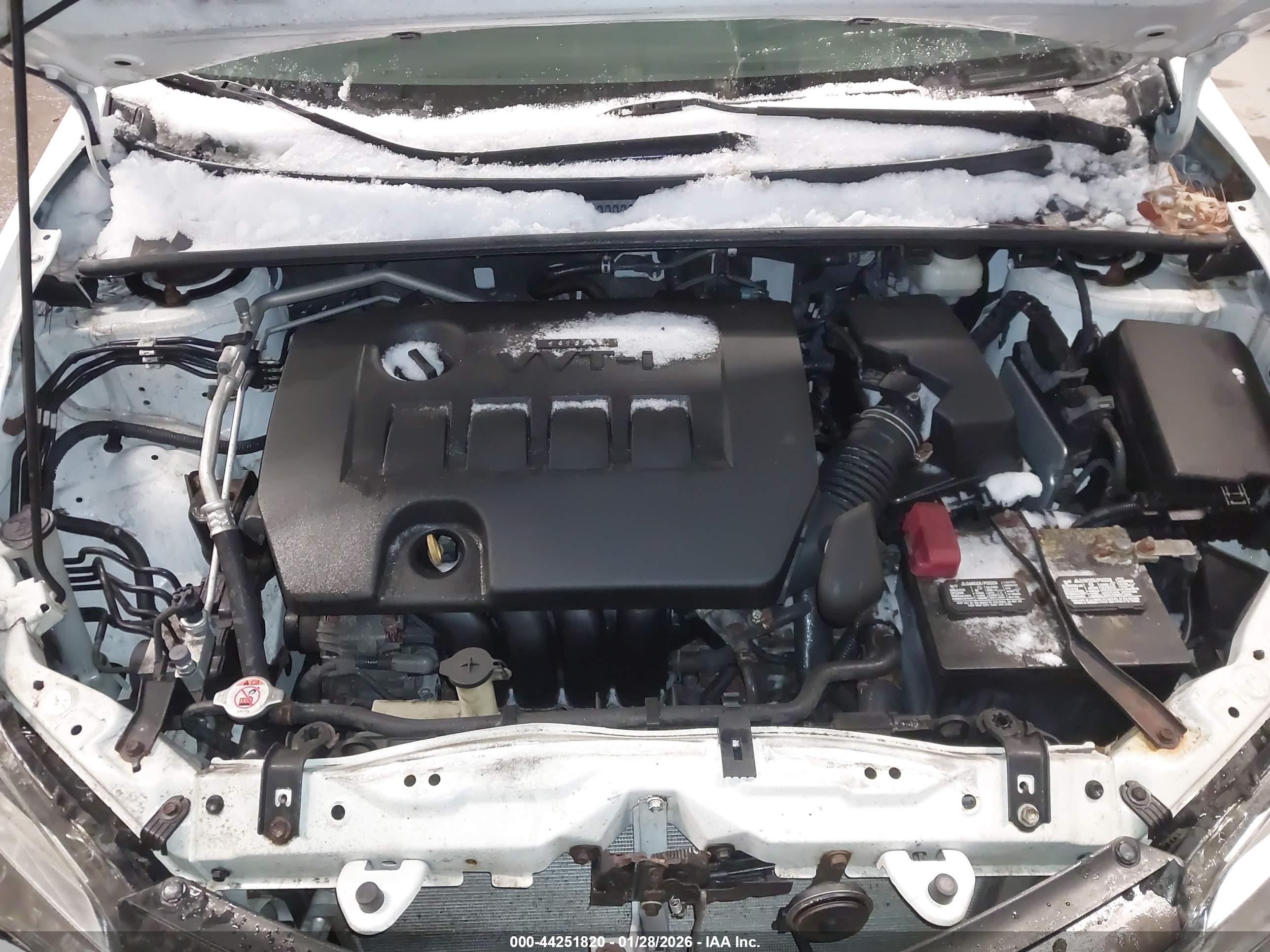 TOYOTA COROLLA image 10