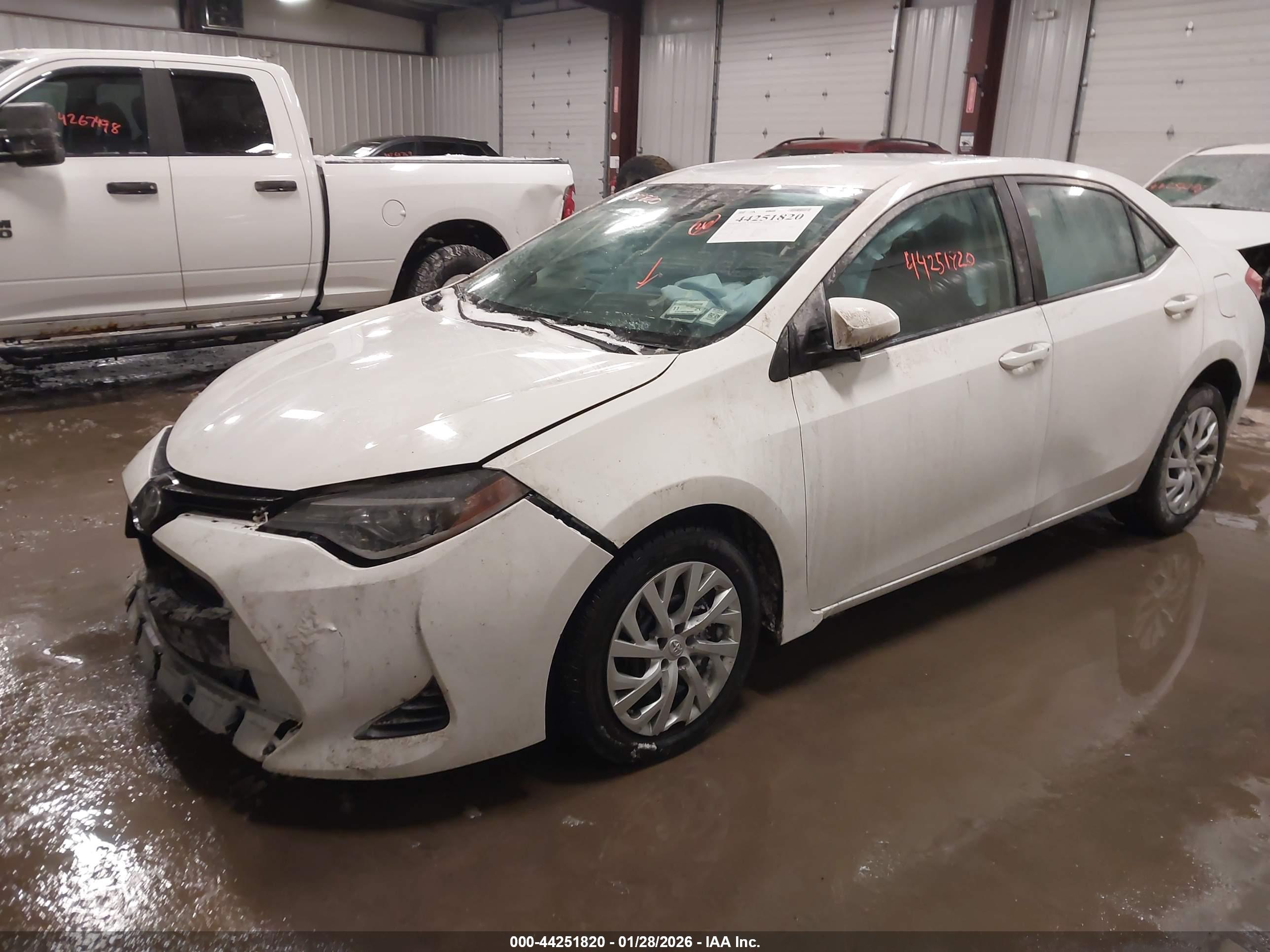 TOYOTA COROLLA image 2