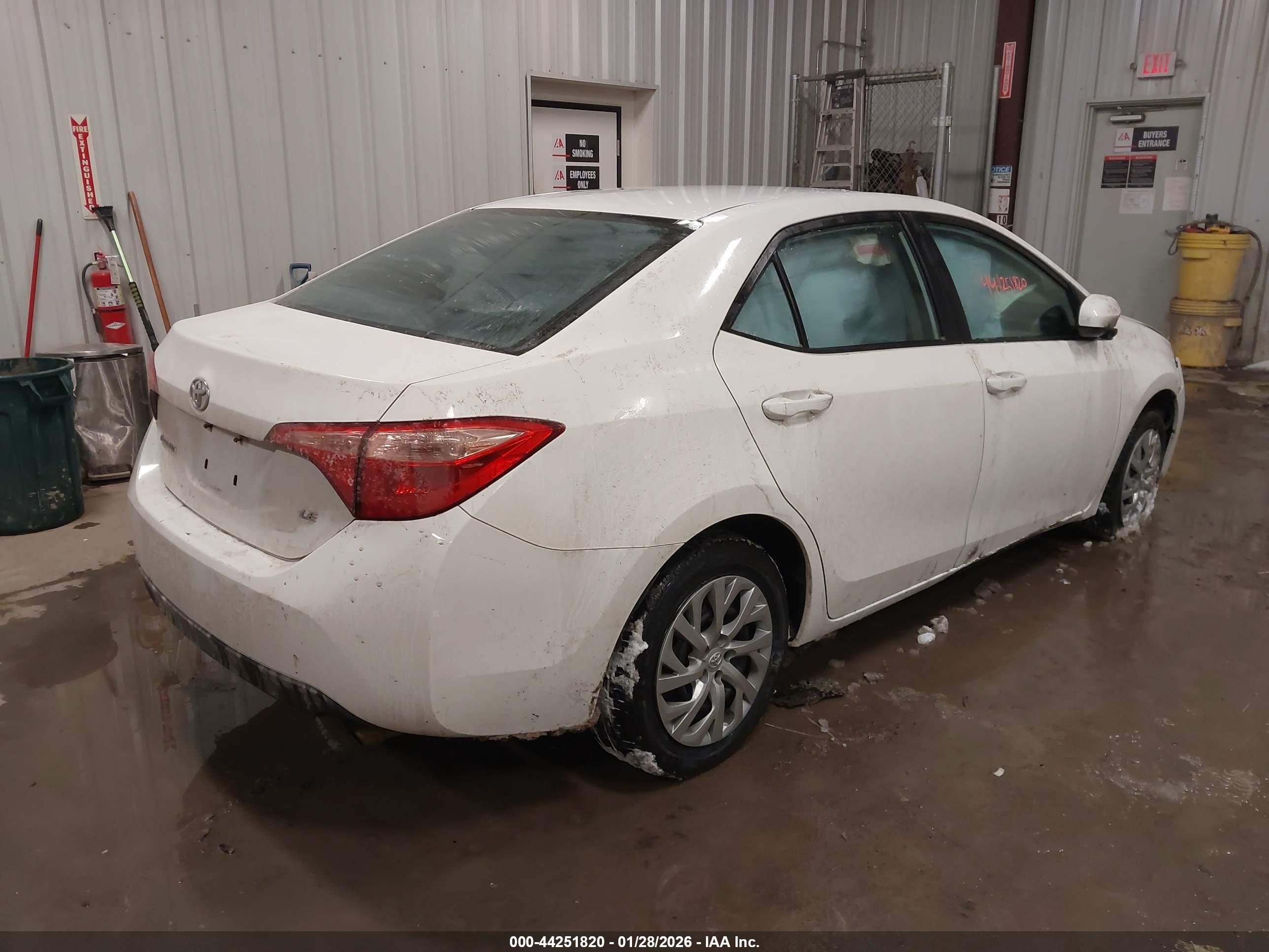 TOYOTA COROLLA image 4