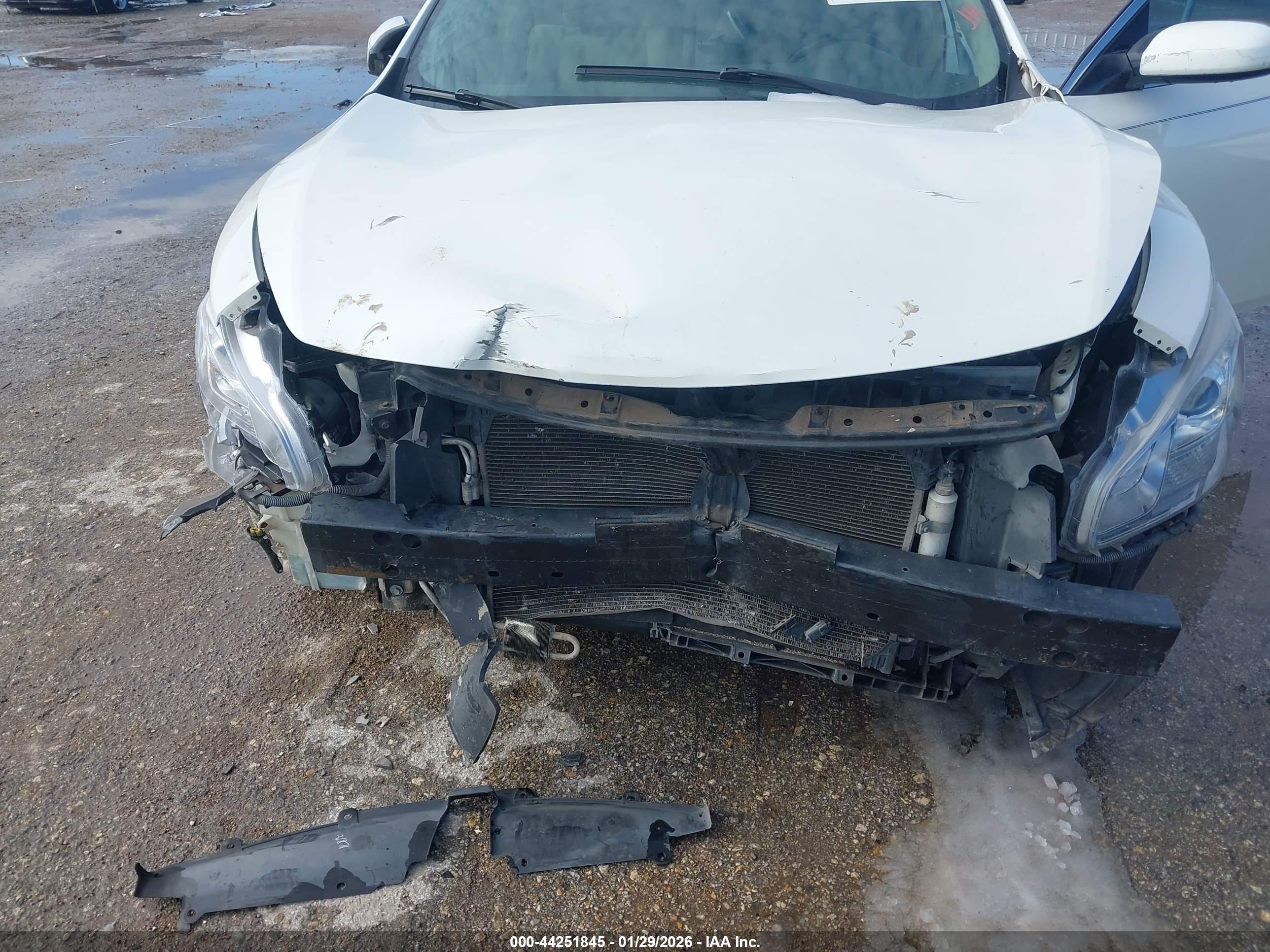 NISSAN MAXIMA image 6