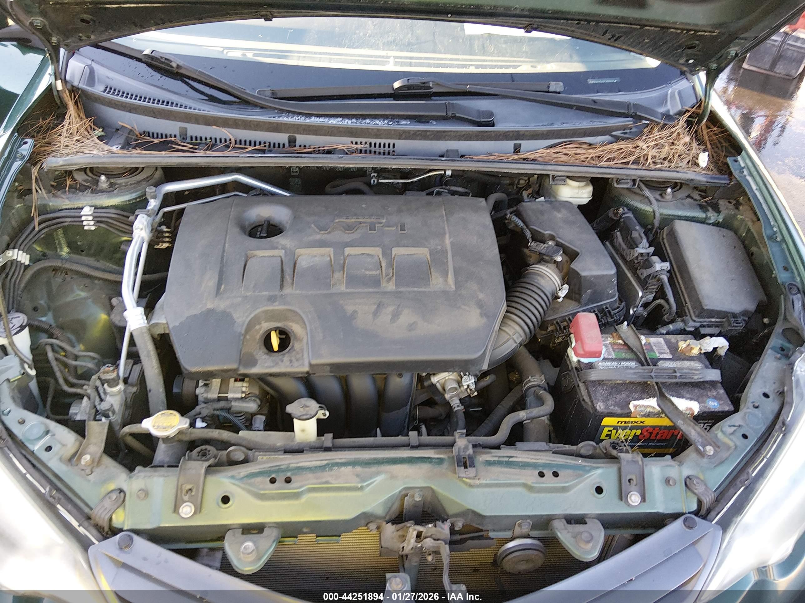 TOYOTA COROLLA image 10