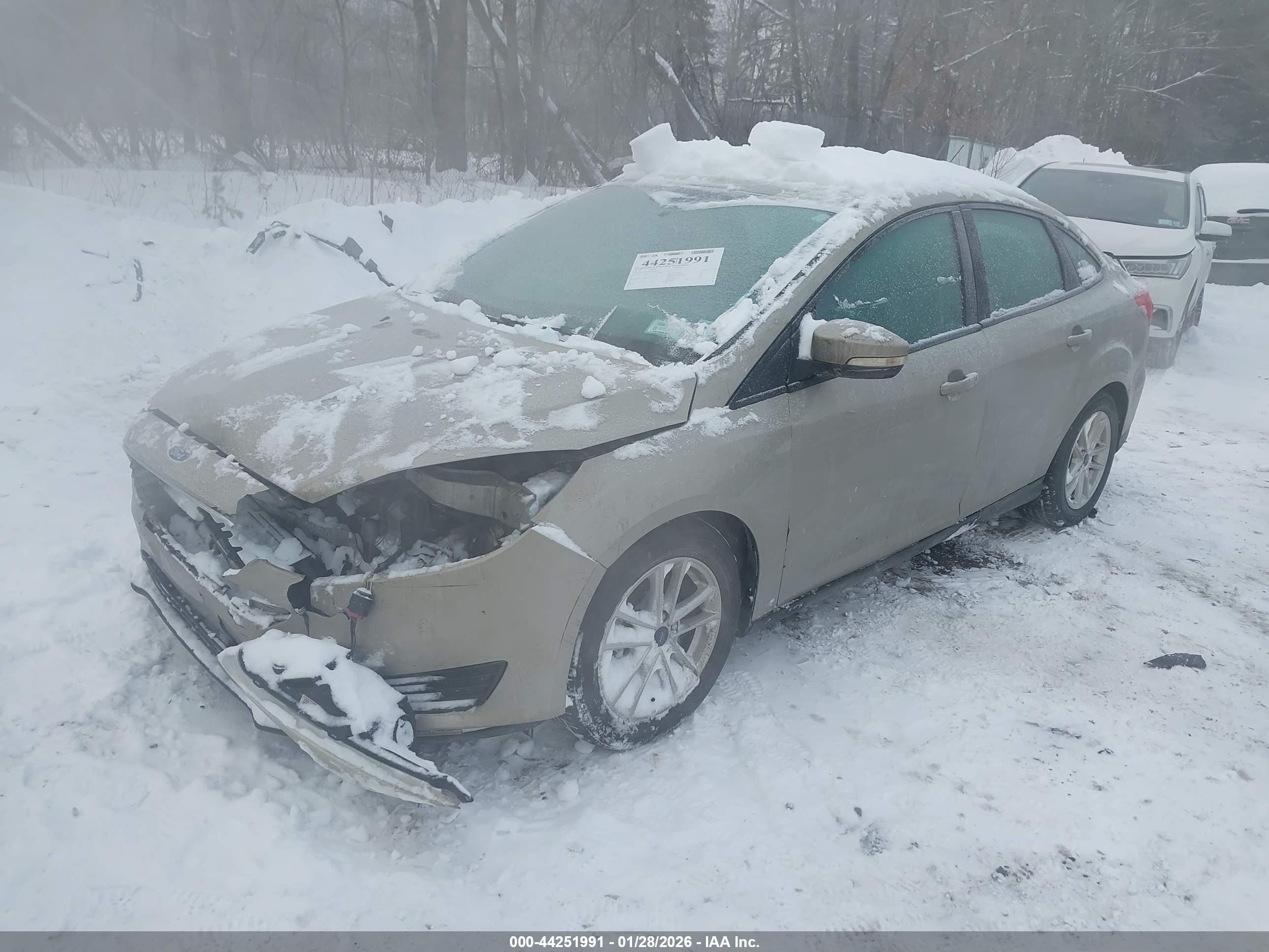 FORD FOCUS image 2