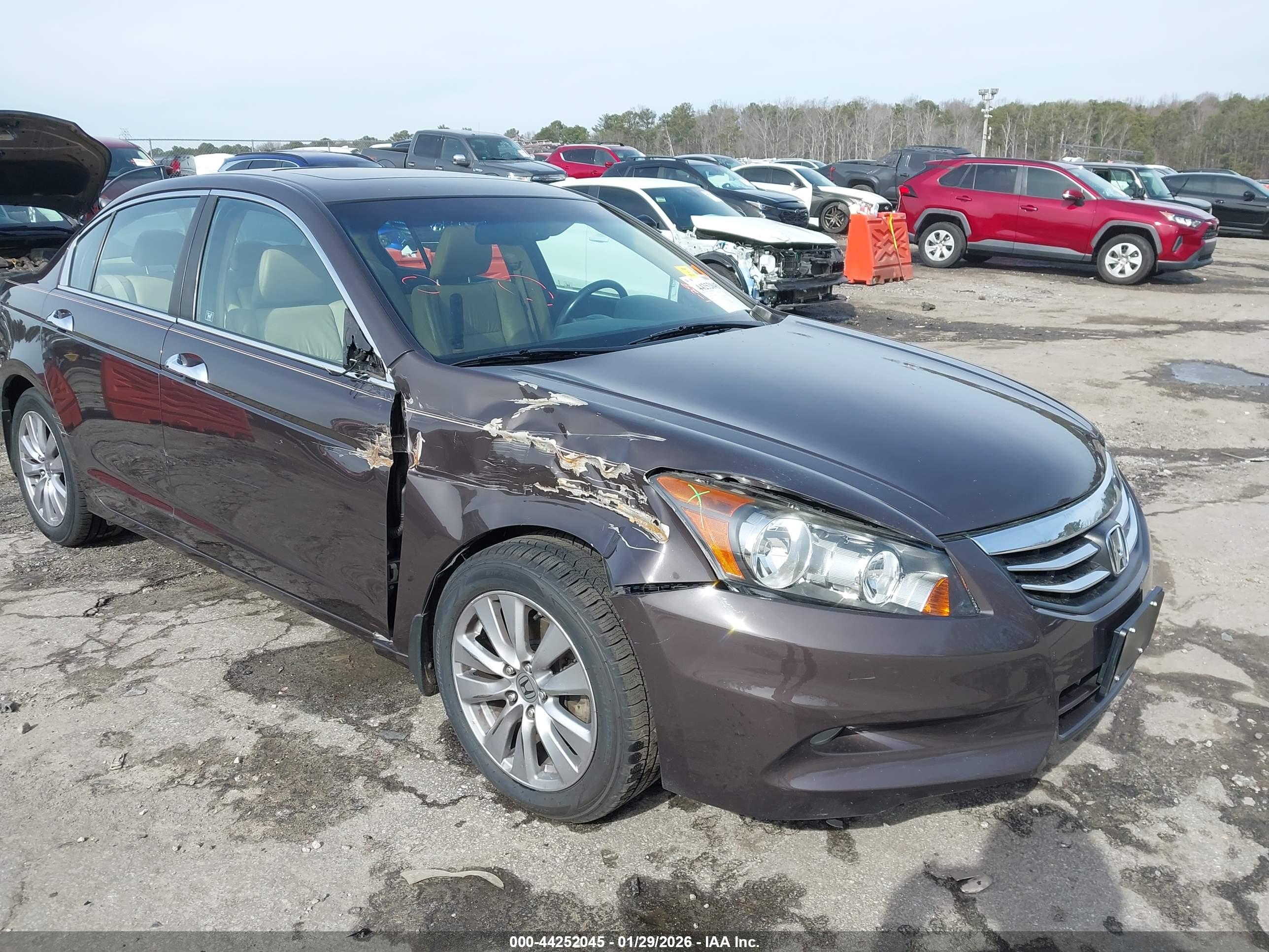 HONDA ACCORD image 6