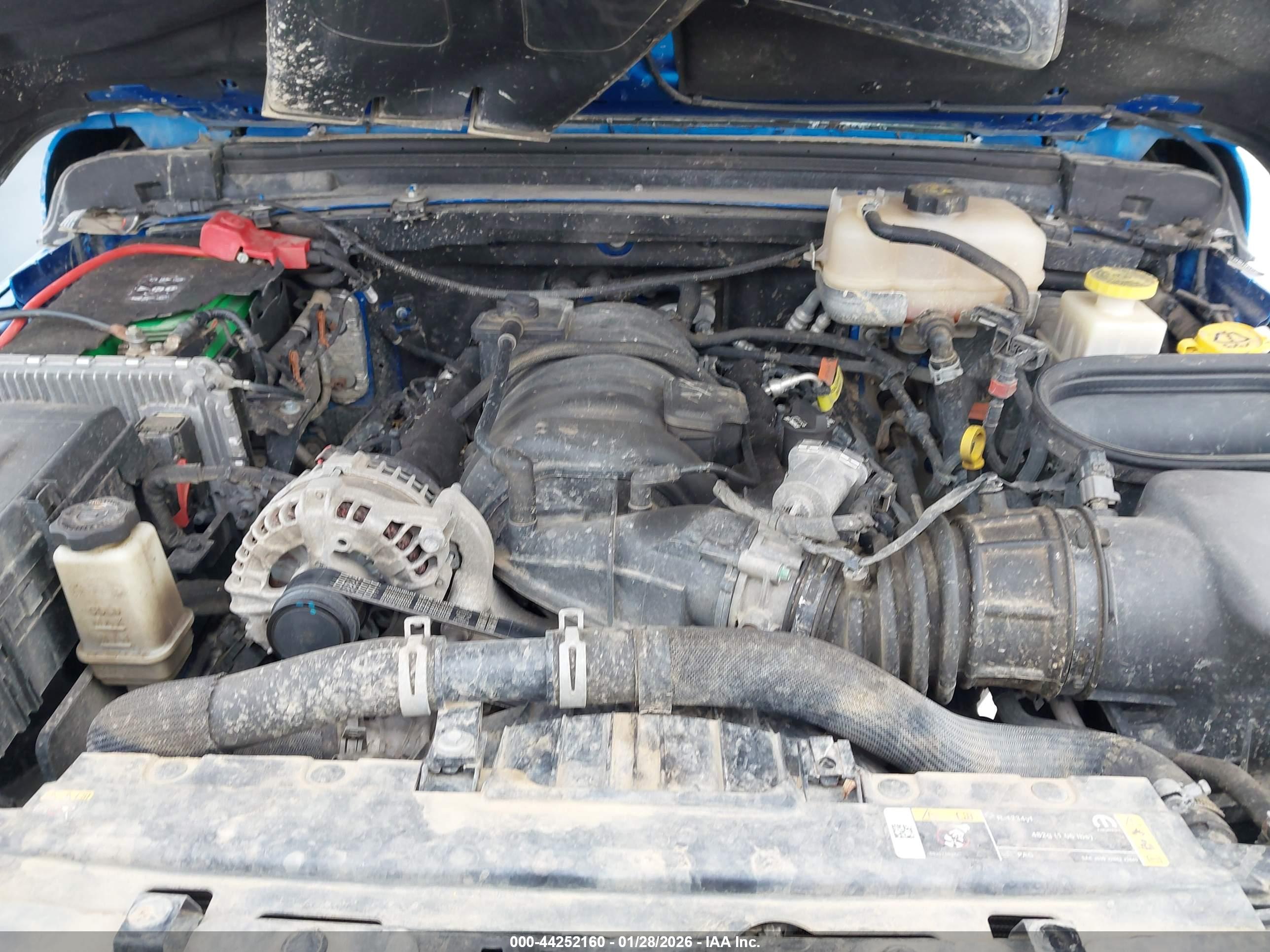 JEEP WRANGLER image 10