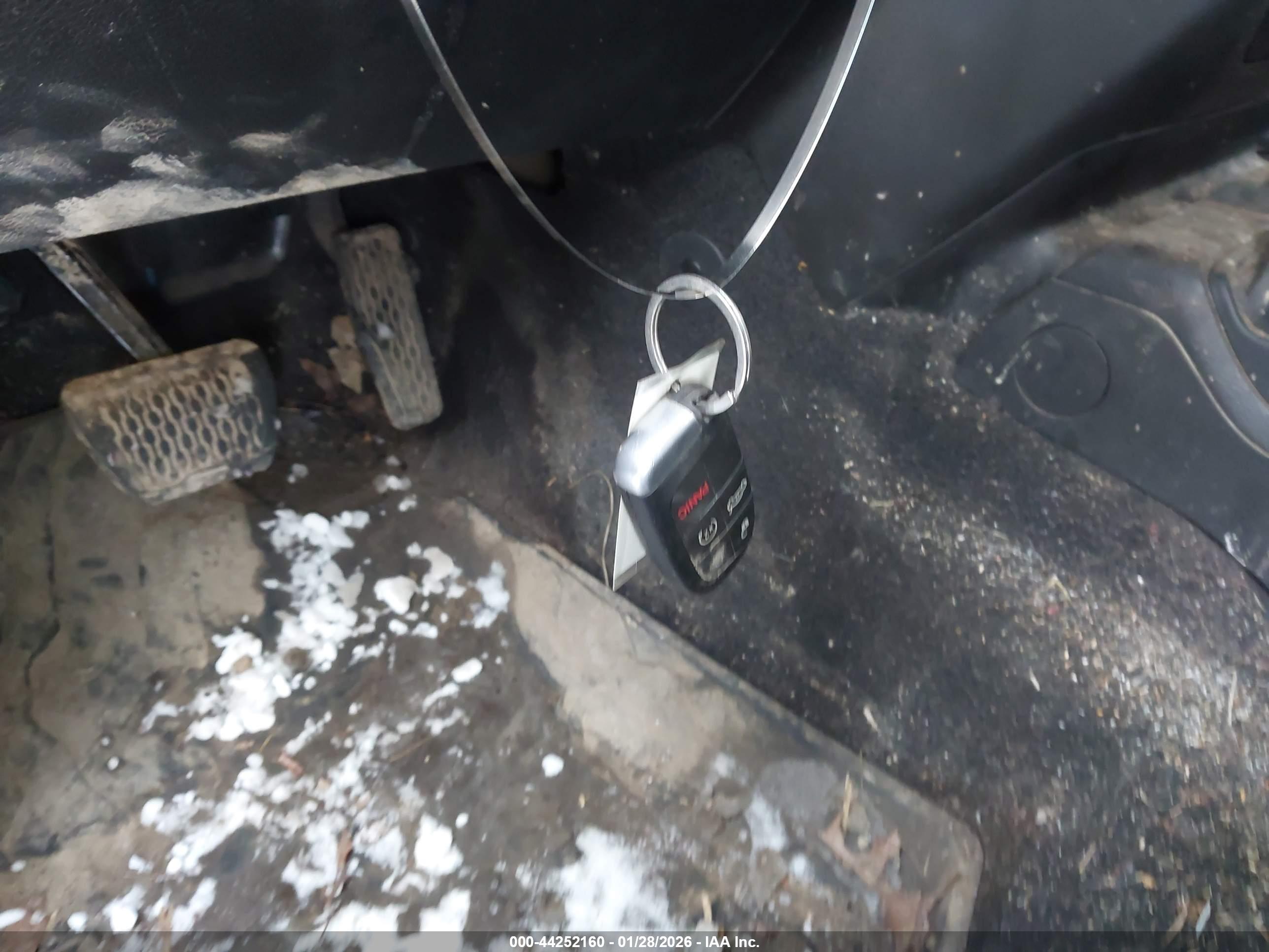JEEP WRANGLER image 11