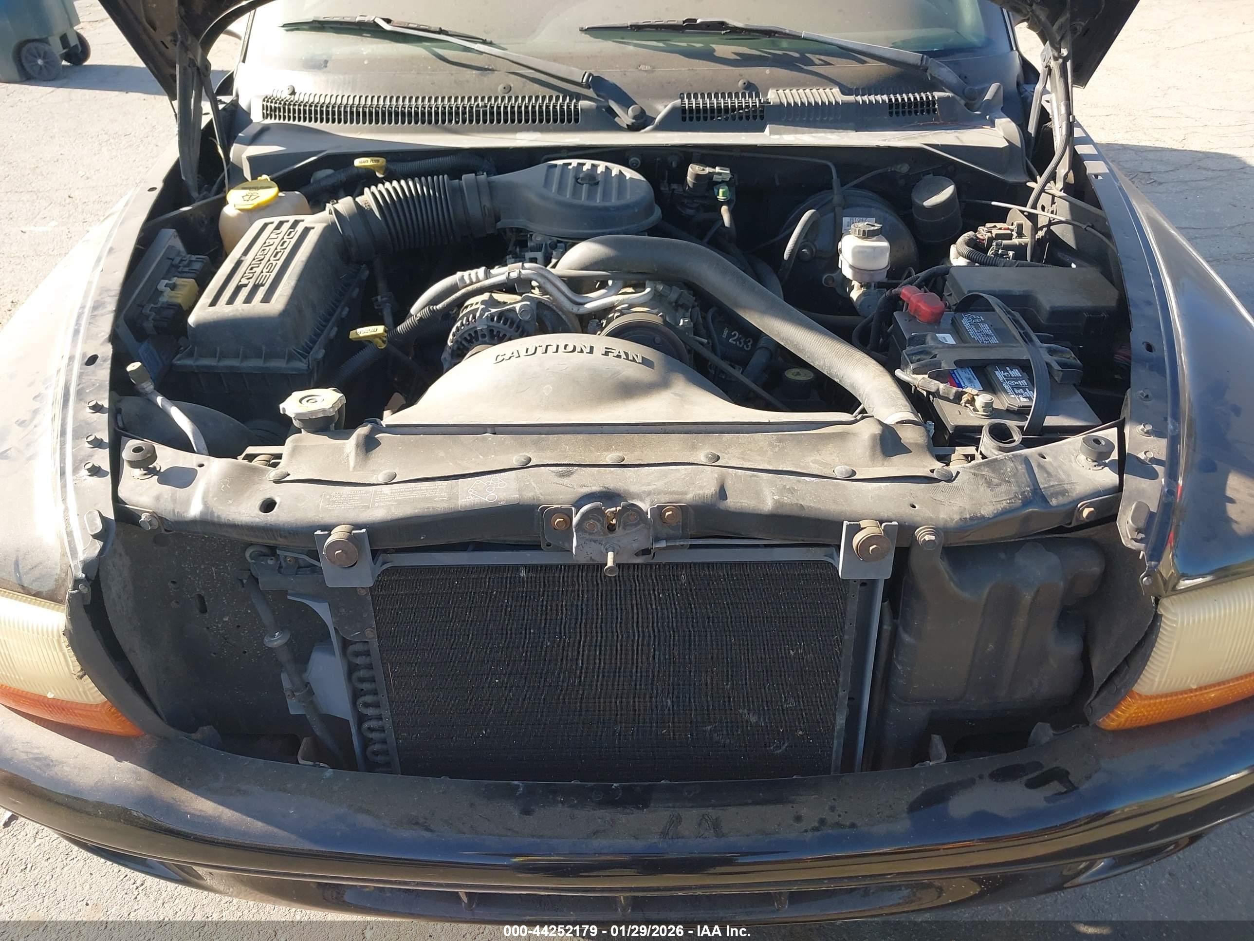 DODGE DAKOTA image 10
