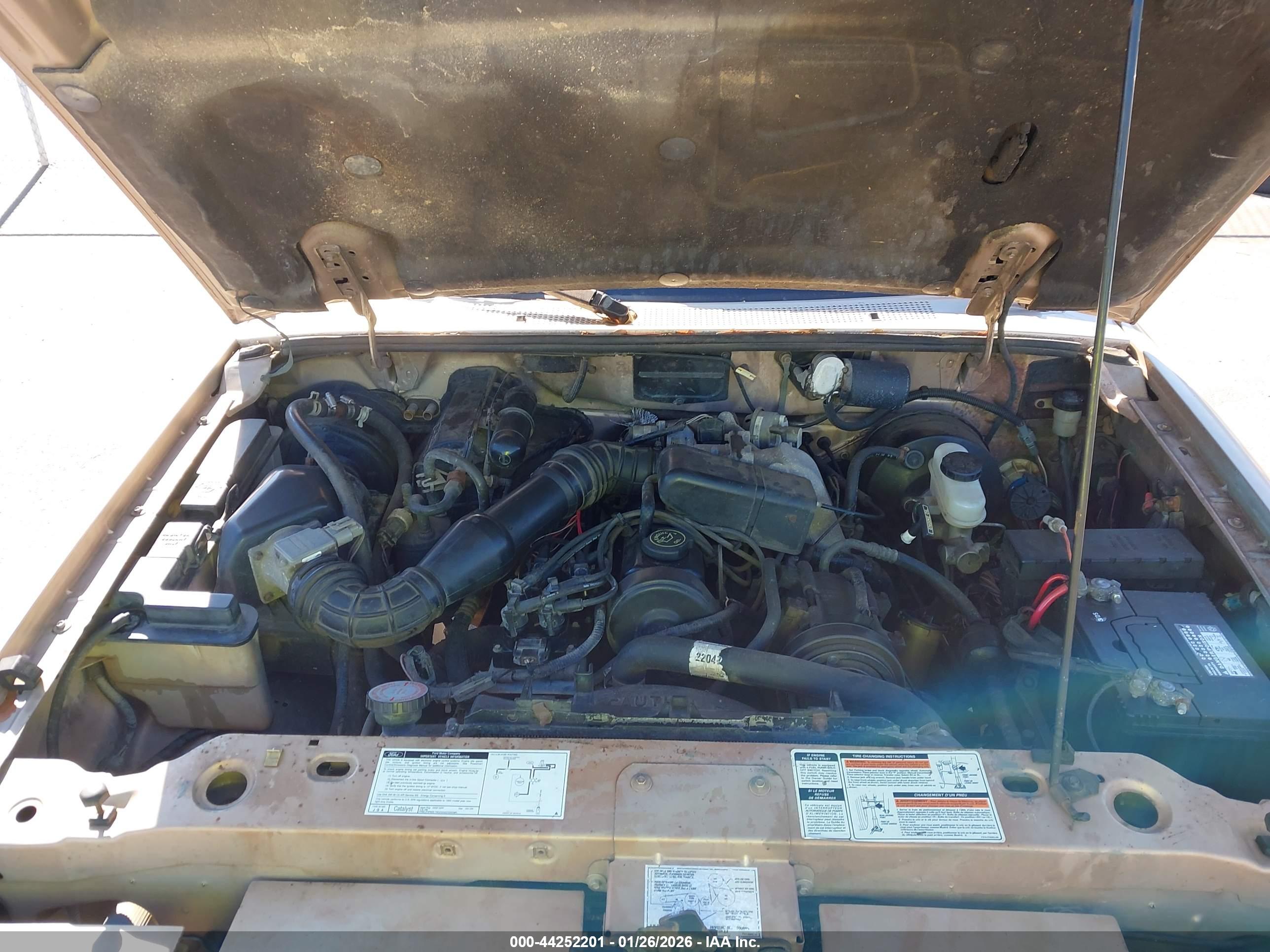 FORD RANGER image 10