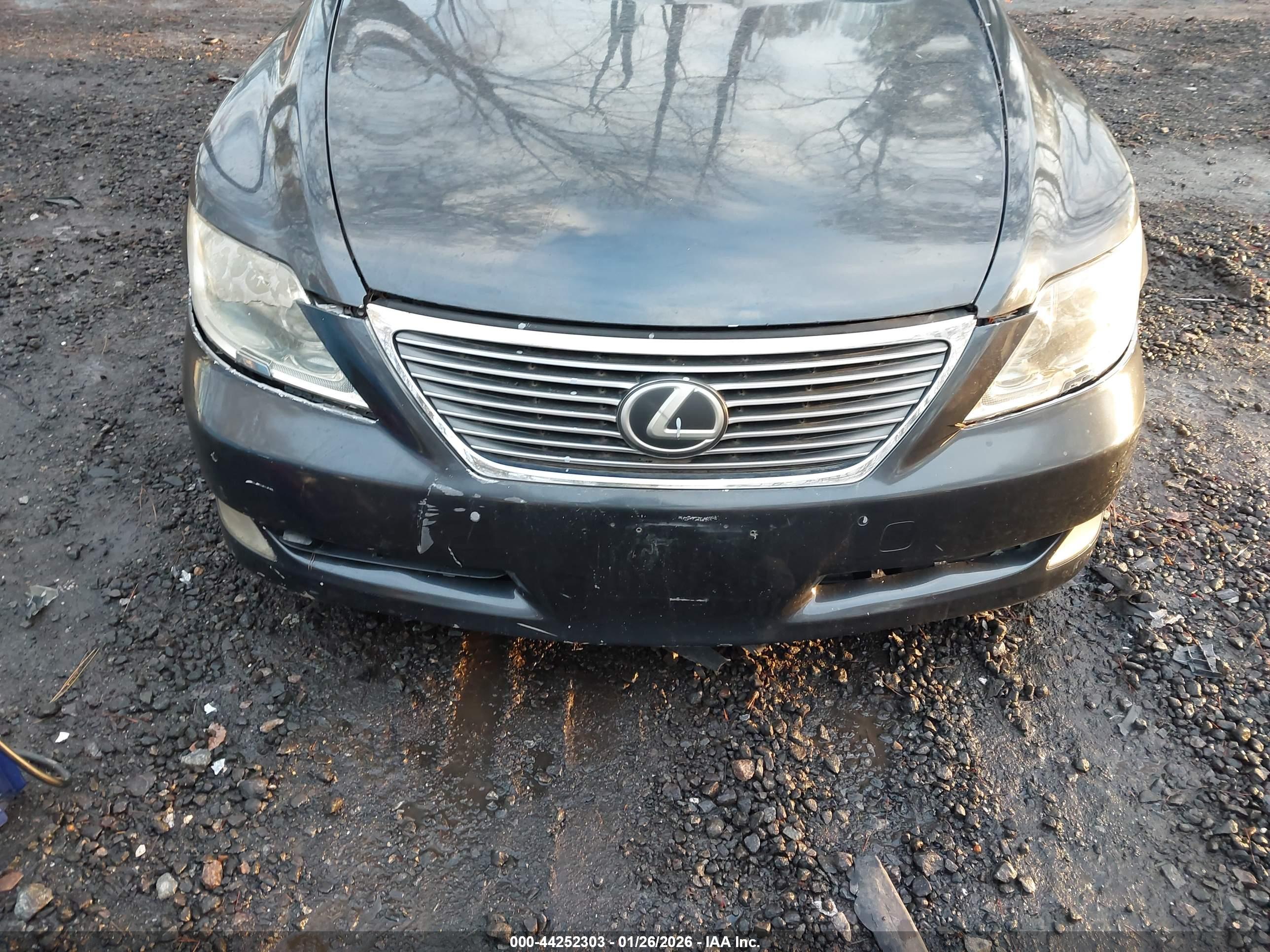 LEXUS LS image 6