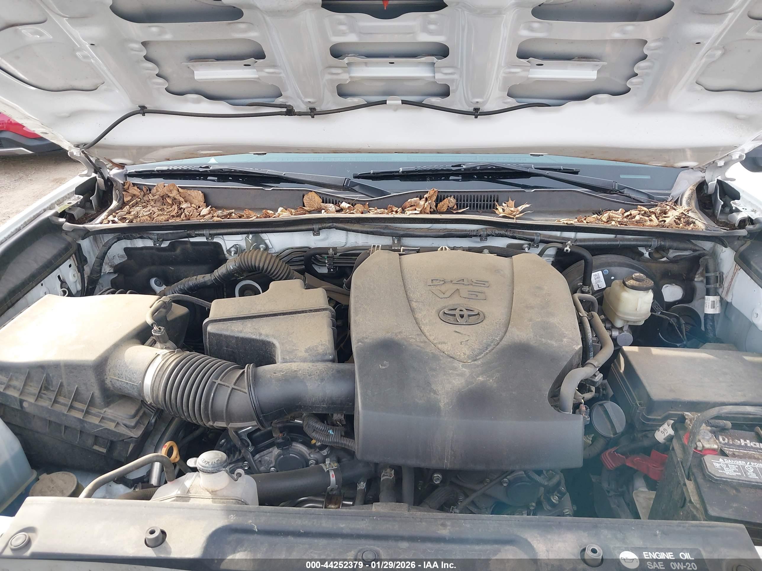 TOYOTA TACOMA image 10
