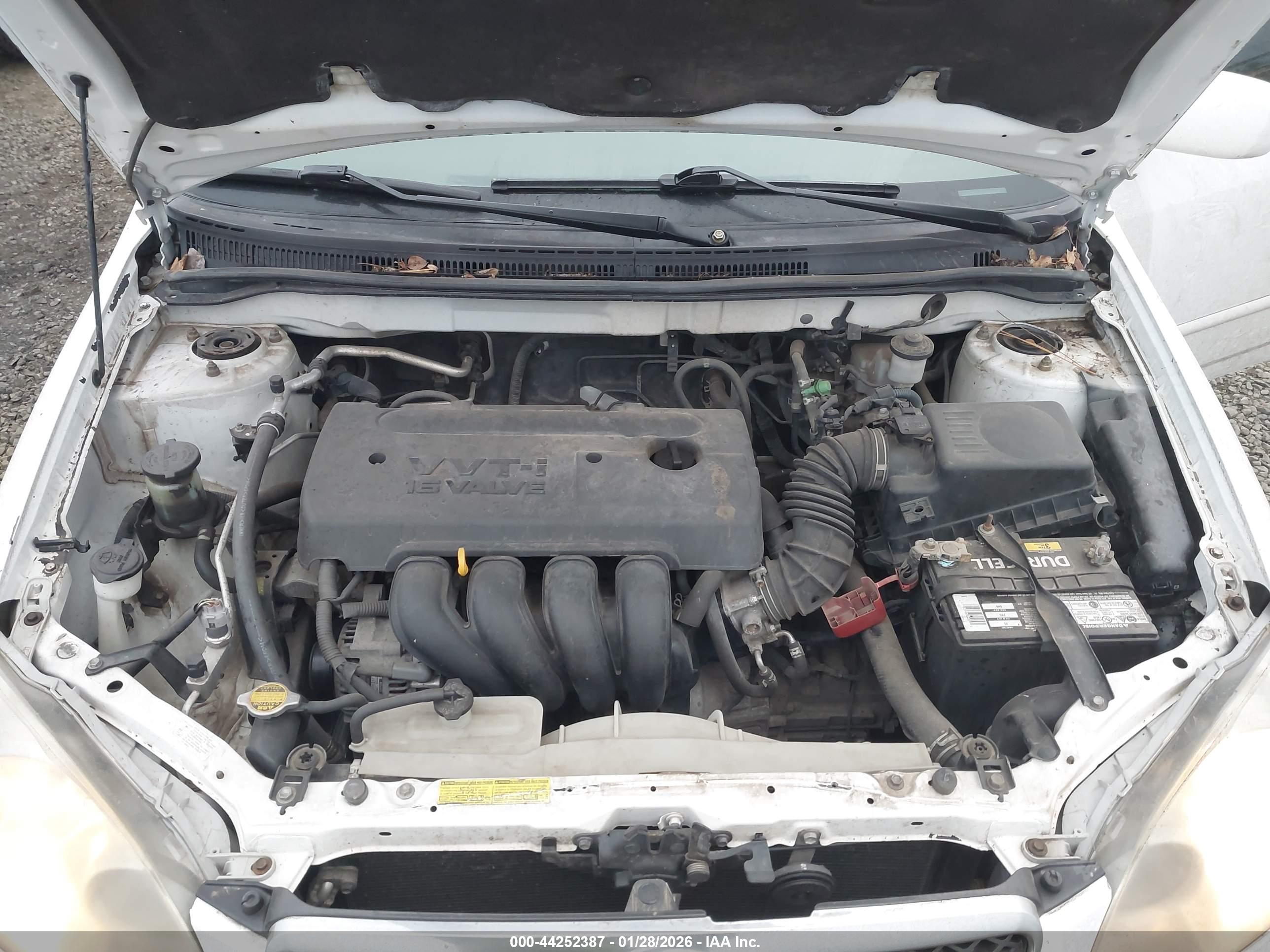 TOYOTA COROLLA image 10
