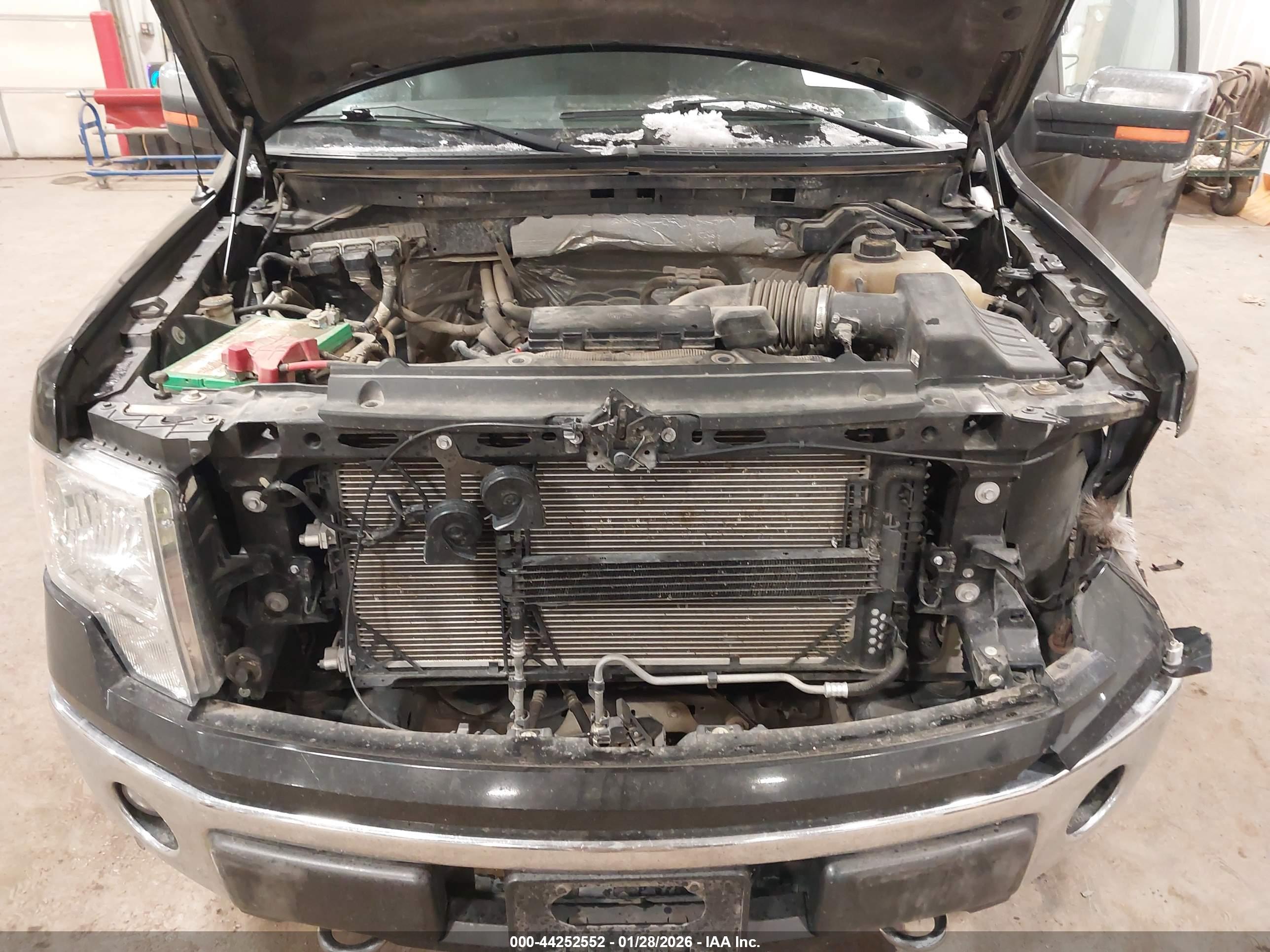 FORD F-150 image 10