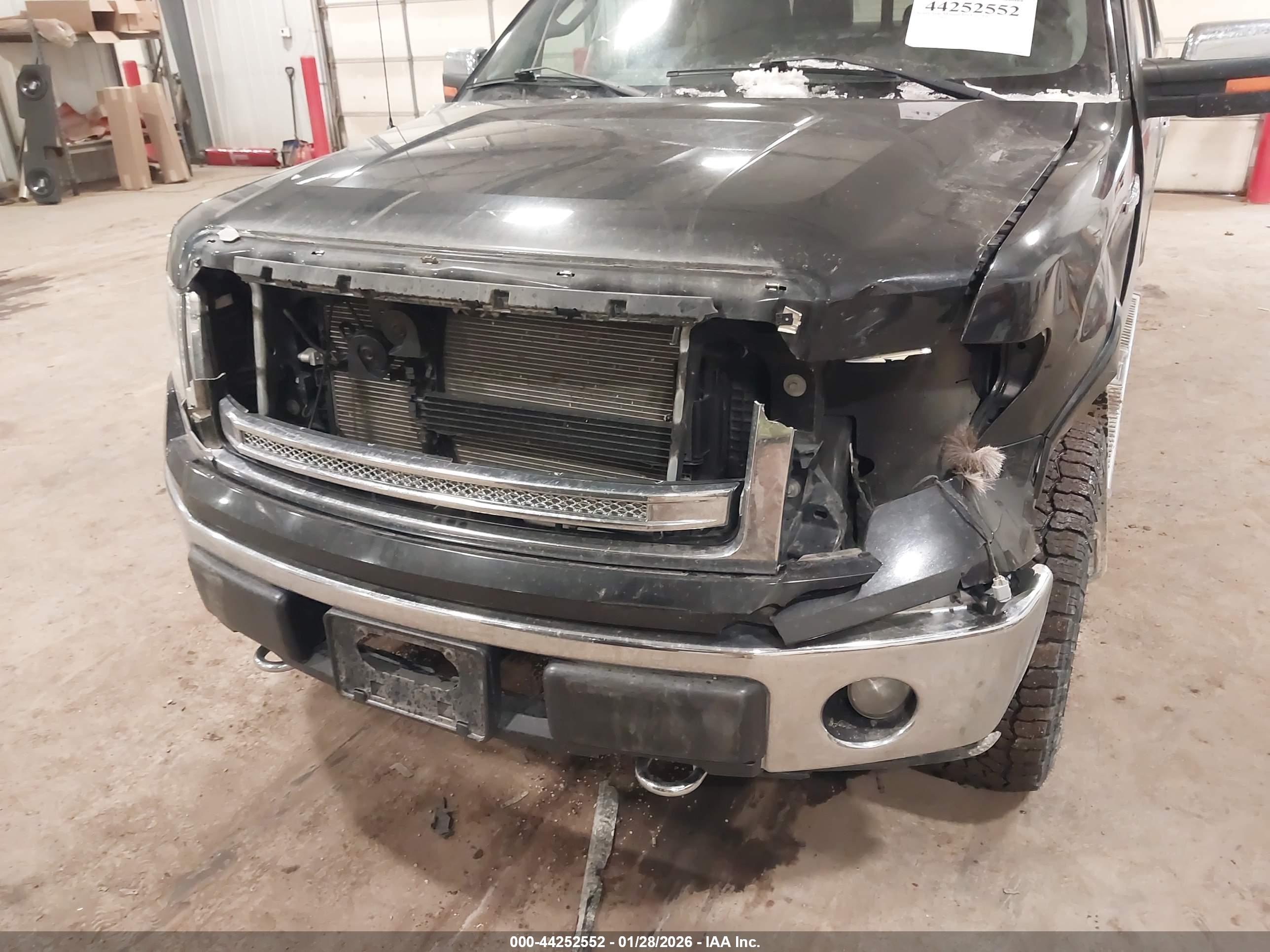 FORD F-150 image 6