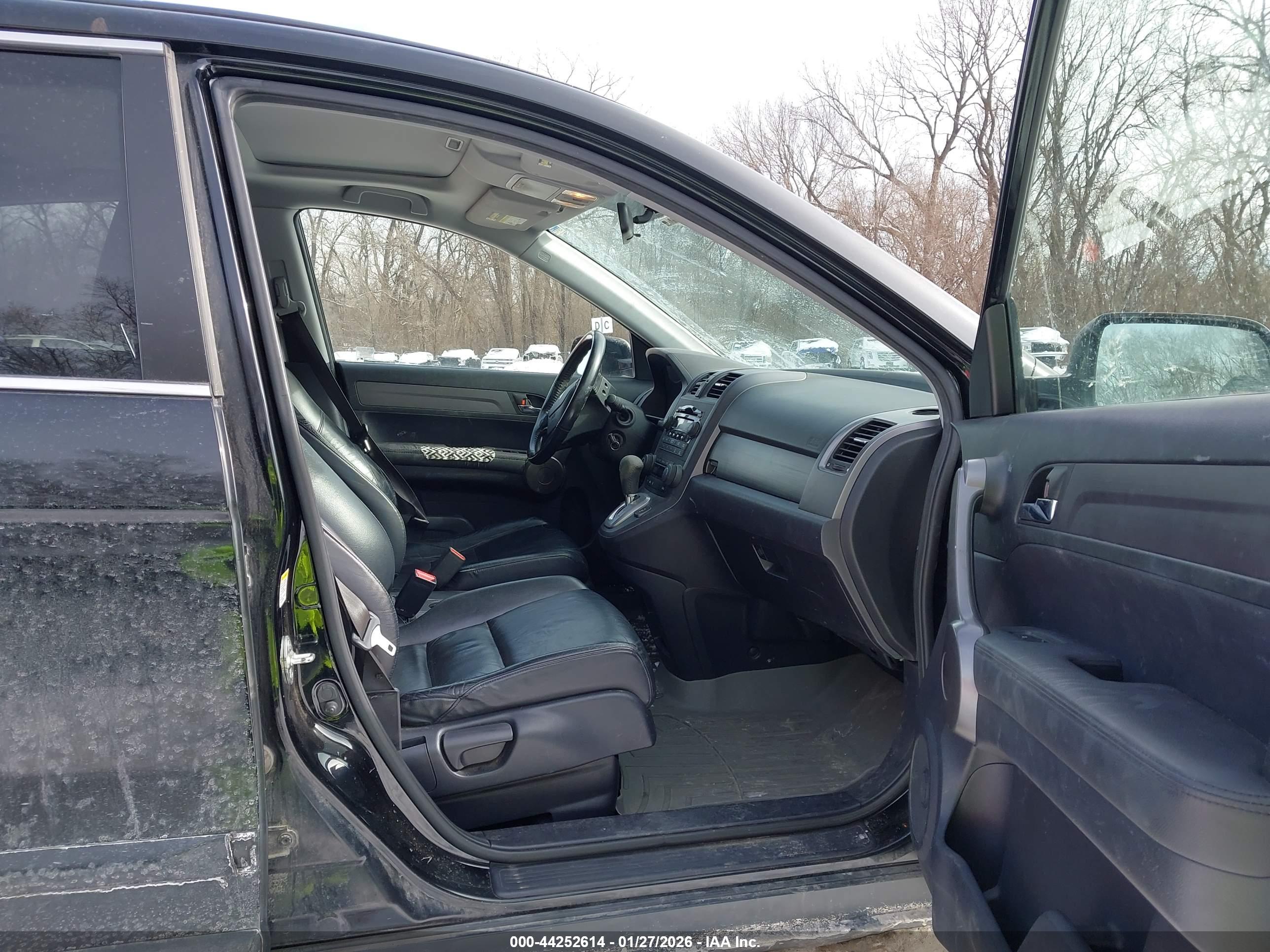 HONDA CR-V image 5