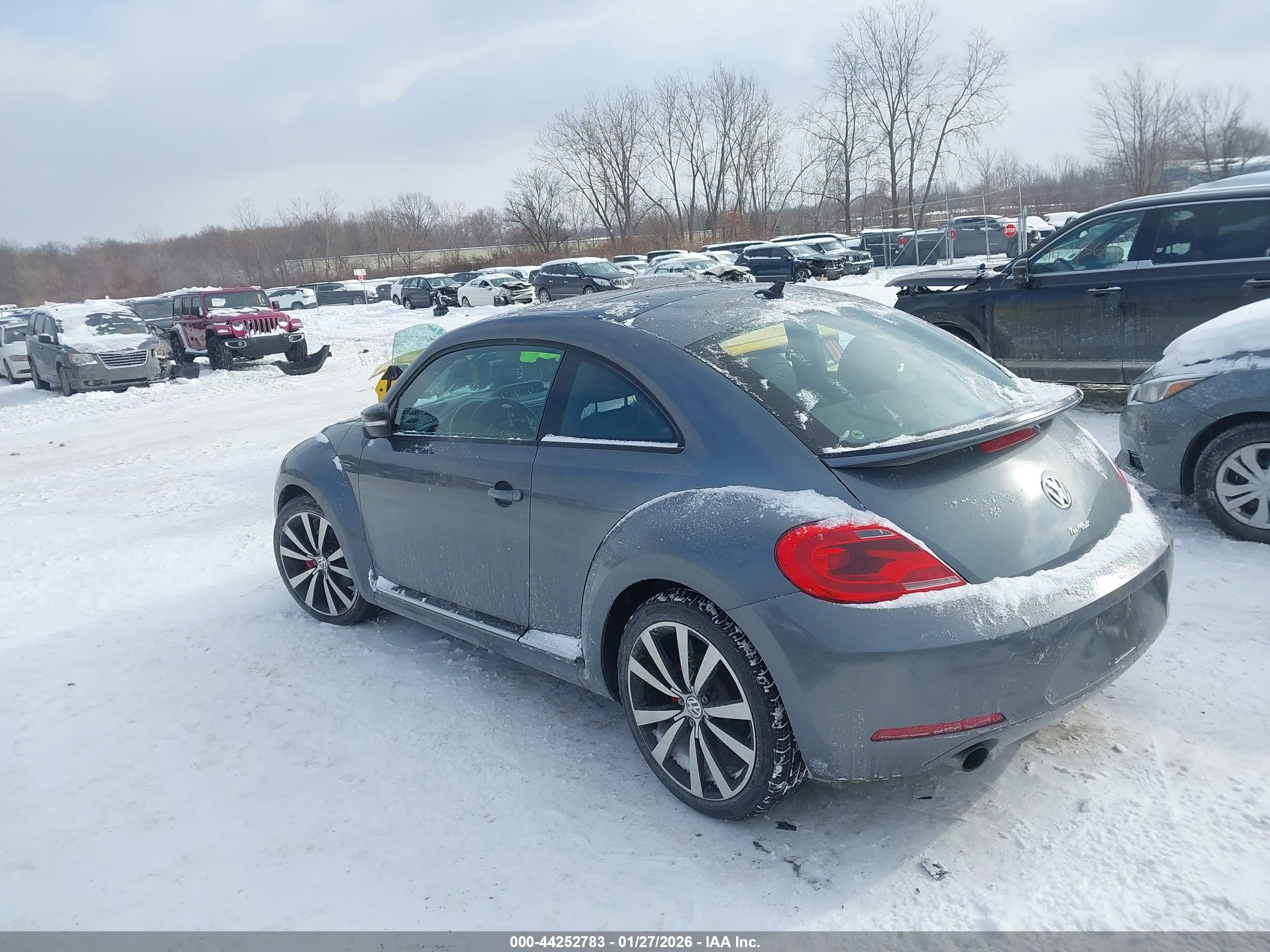 VOLKSWAGEN BEETLE image 3