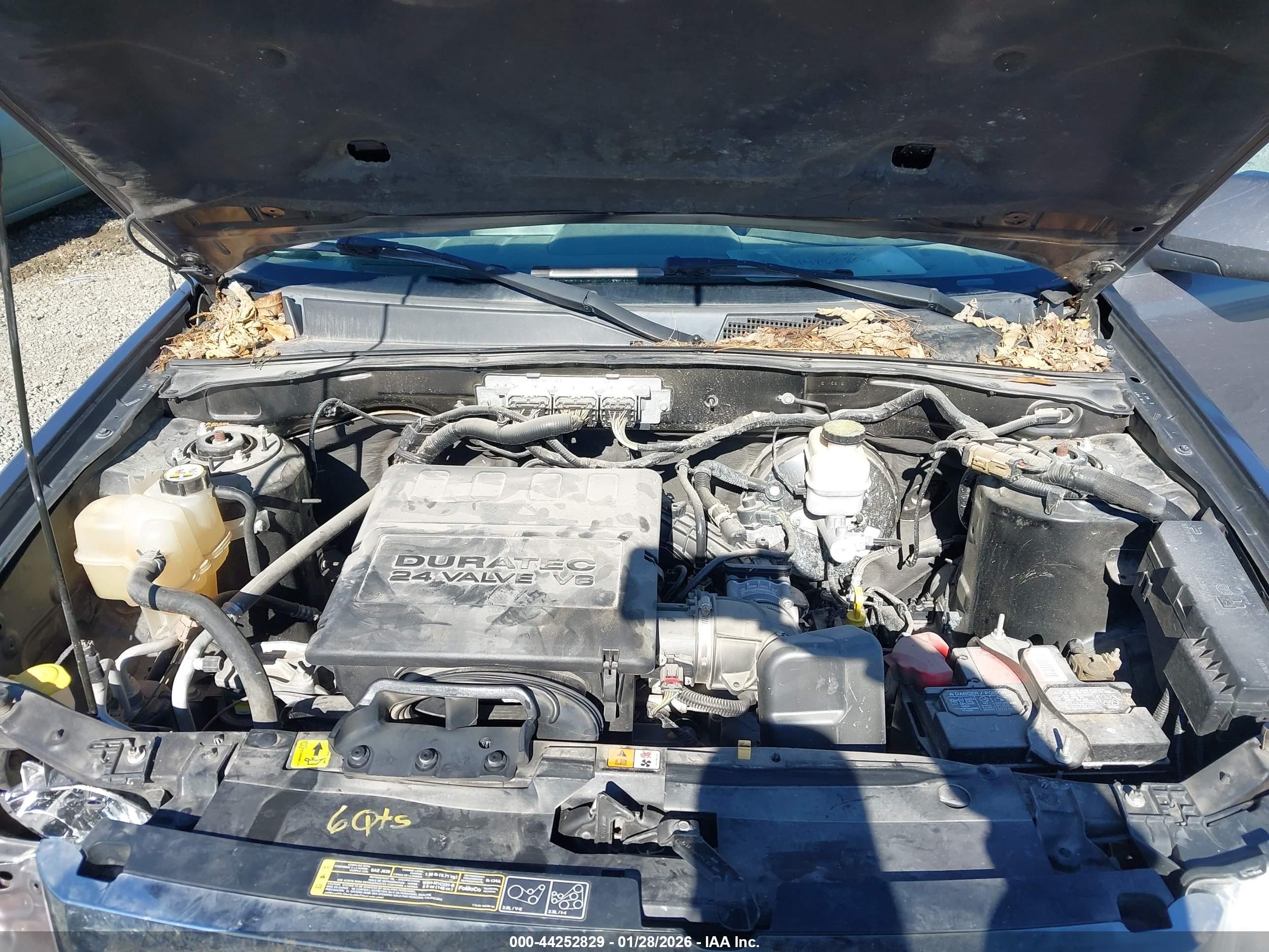 FORD ESCAPE image 10