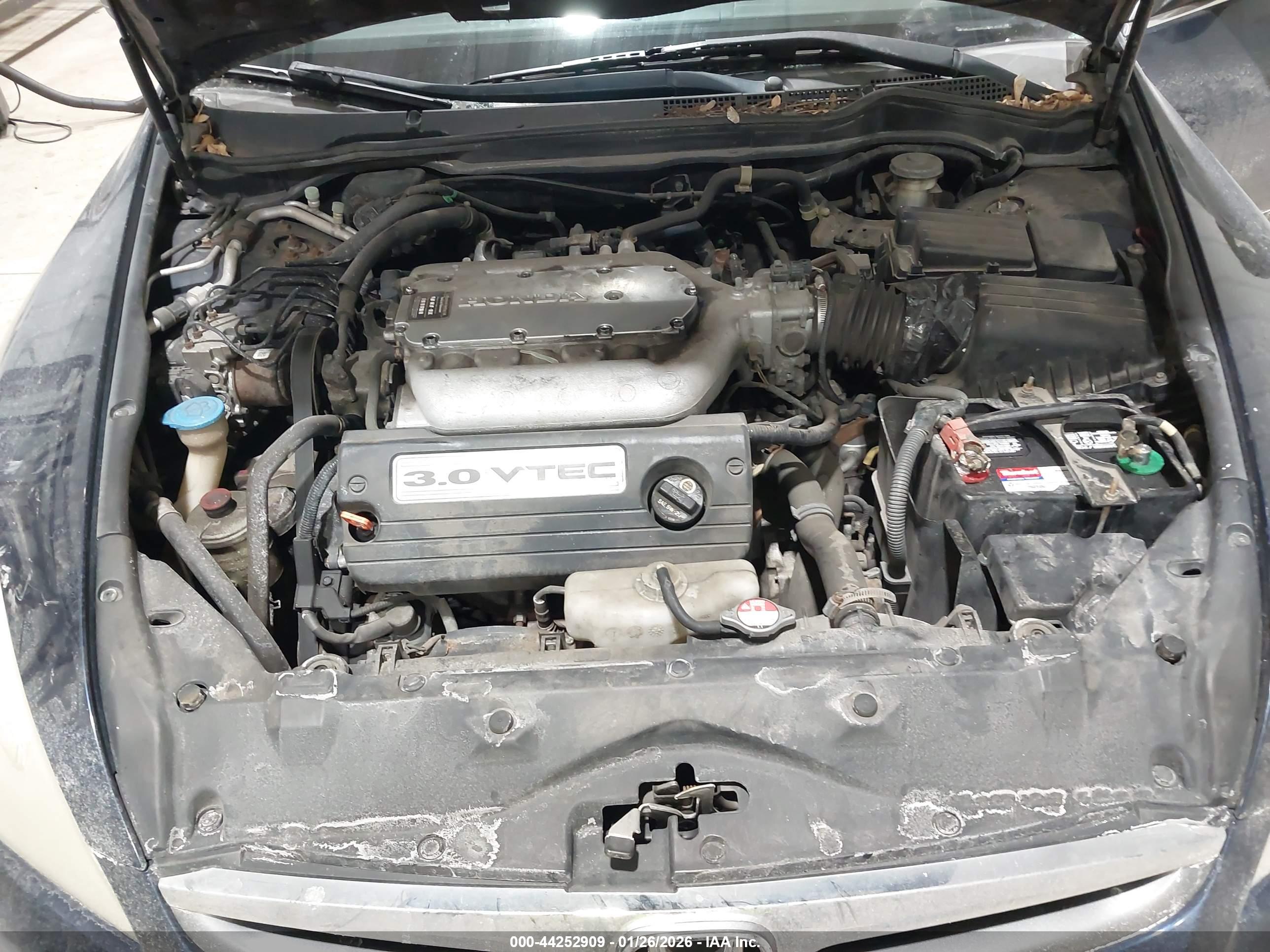 HONDA ACCORD image 10