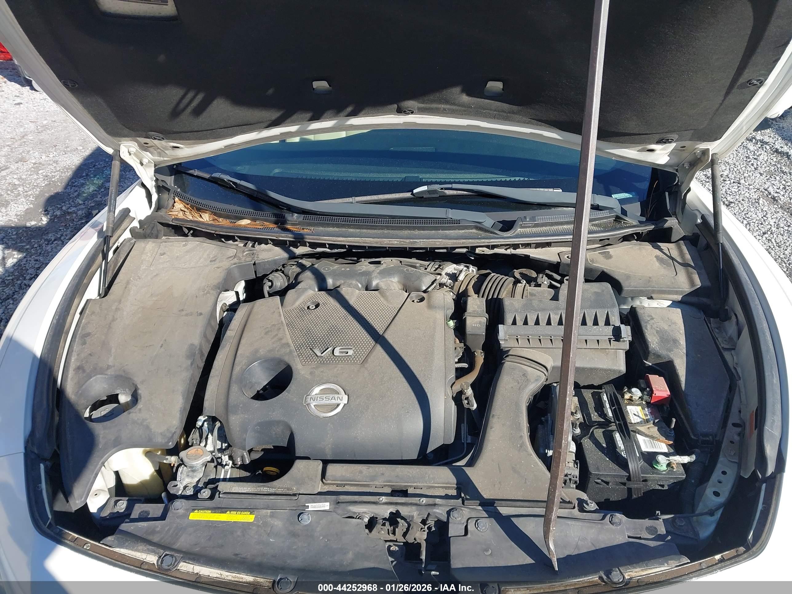 NISSAN MAXIMA image 10