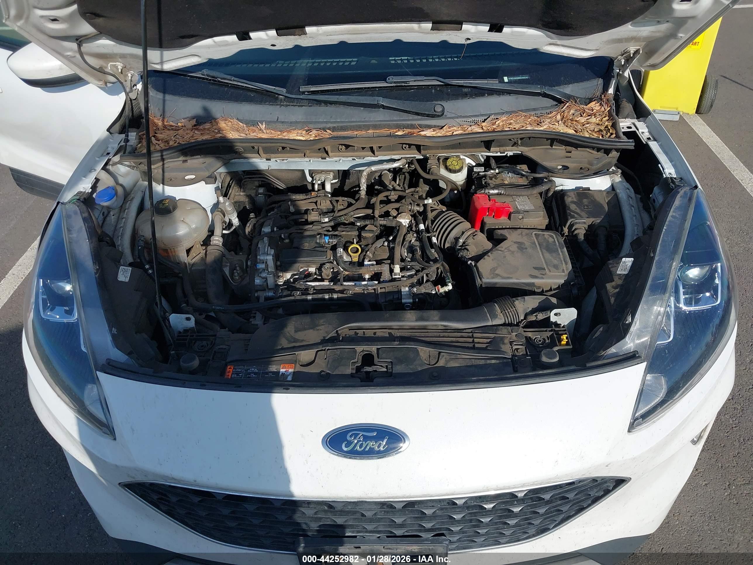 FORD ESCAPE image 10