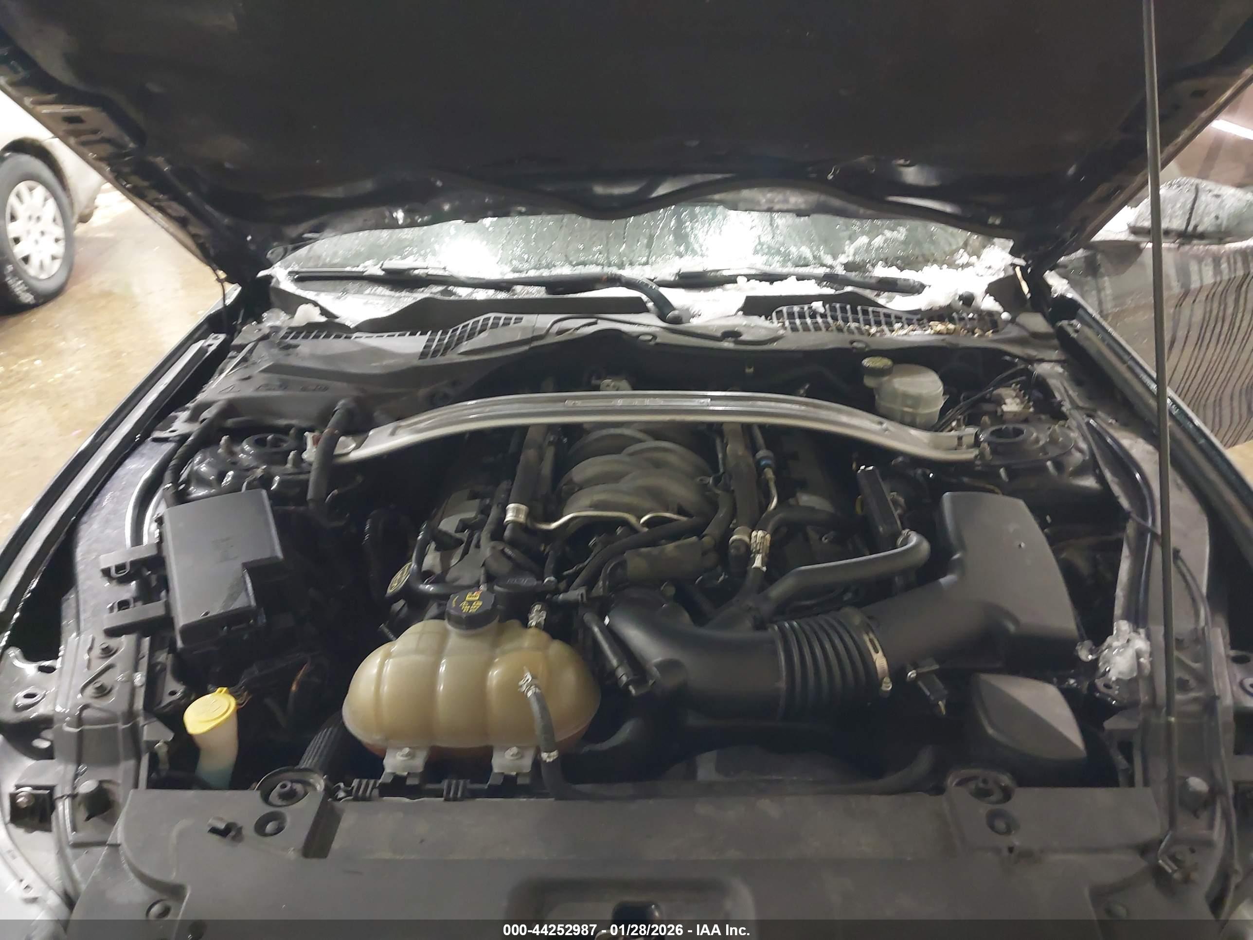 FORD MUSTANG image 10