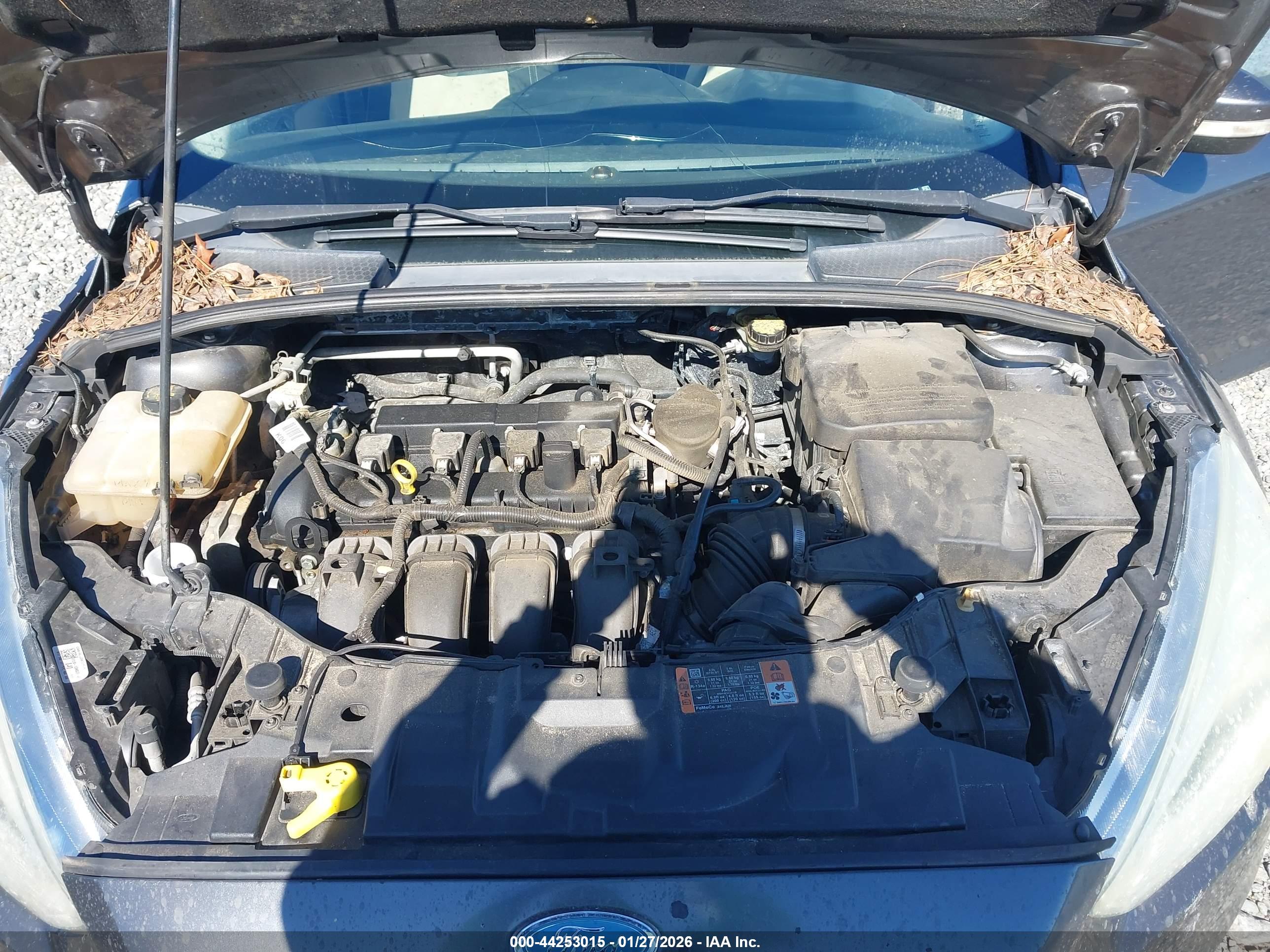 FORD FOCUS image 10