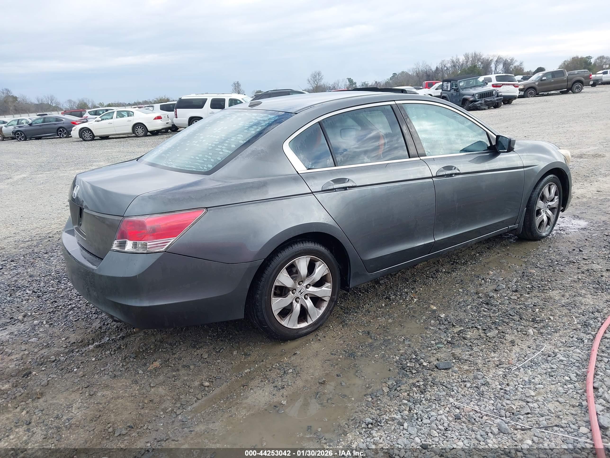 HONDA ACCORD image 4