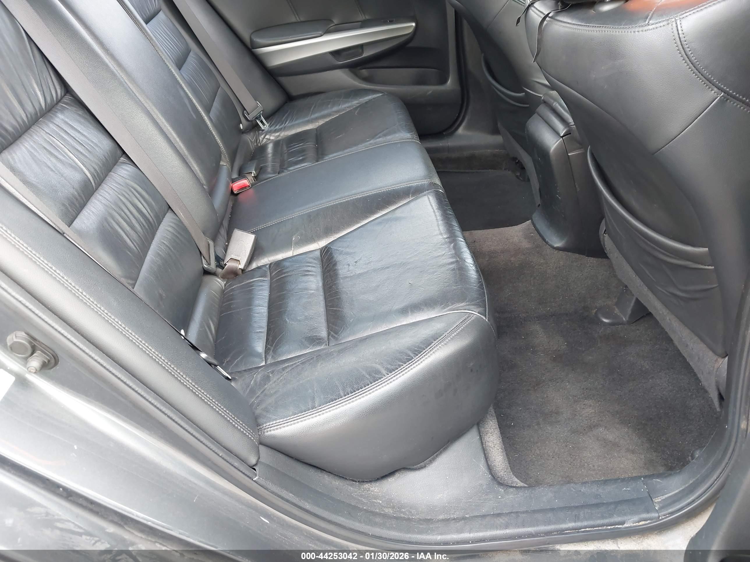 HONDA ACCORD image 8