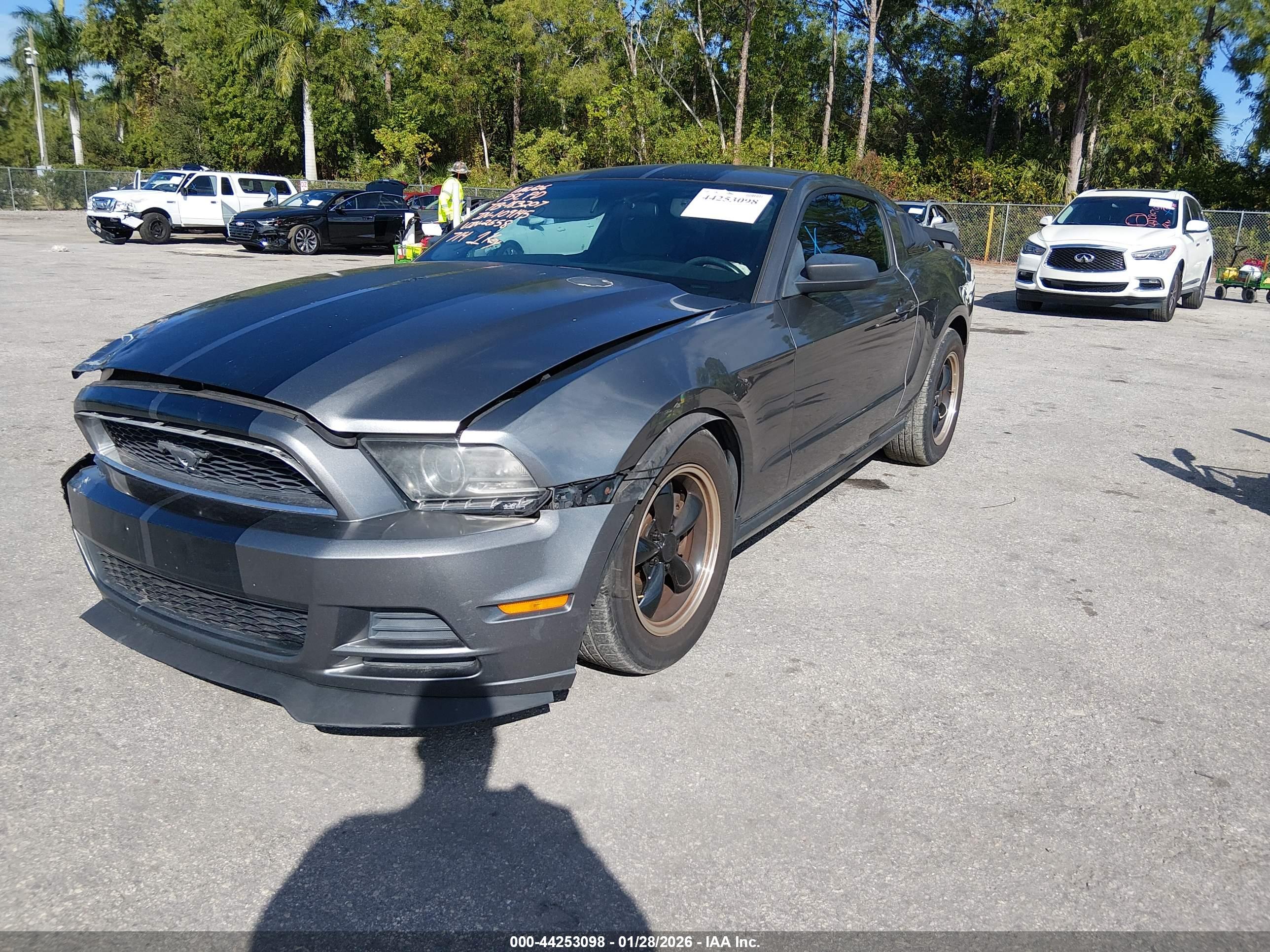 FORD MUSTANG image 2