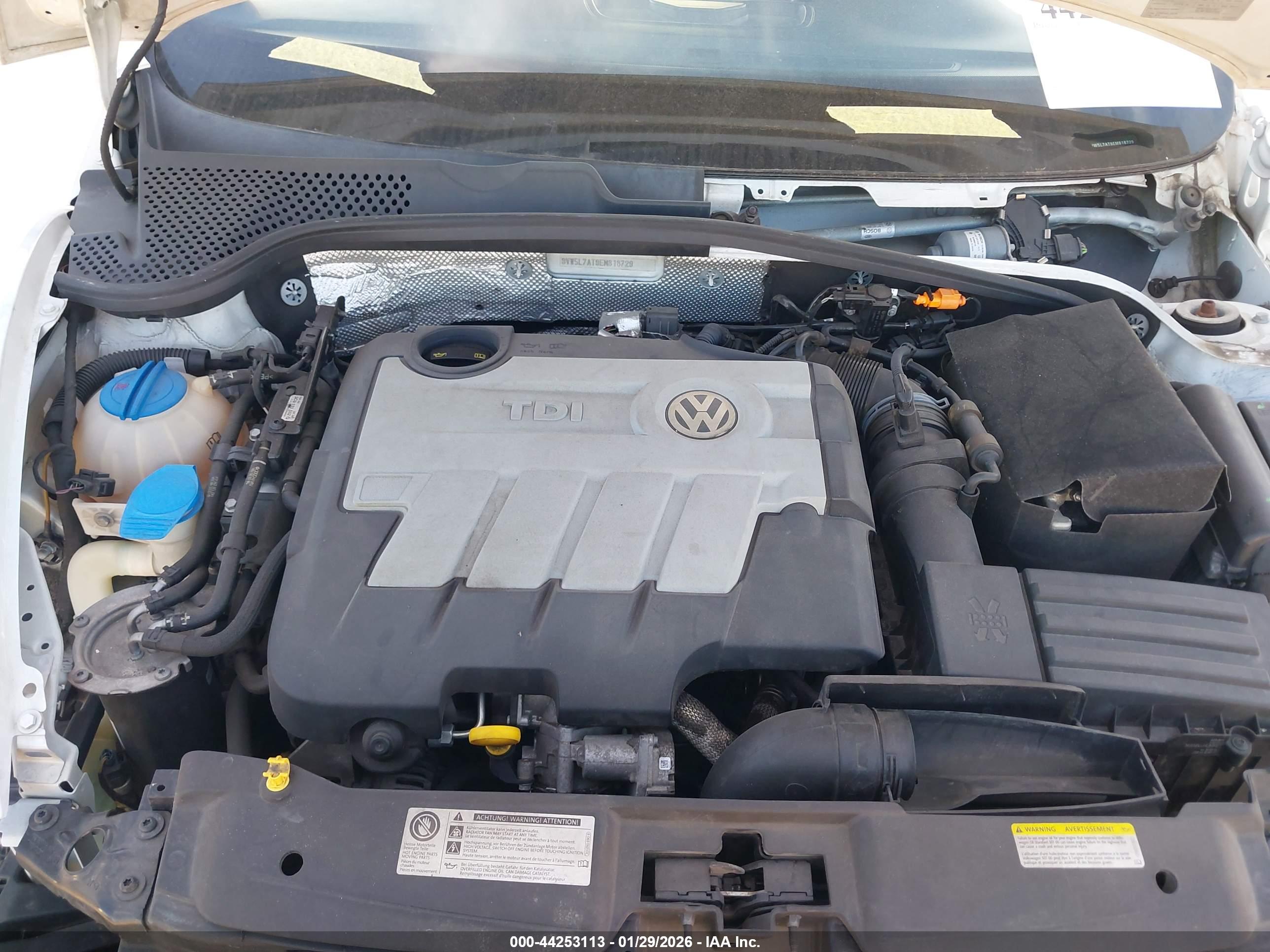 VOLKSWAGEN BEETLE image 10