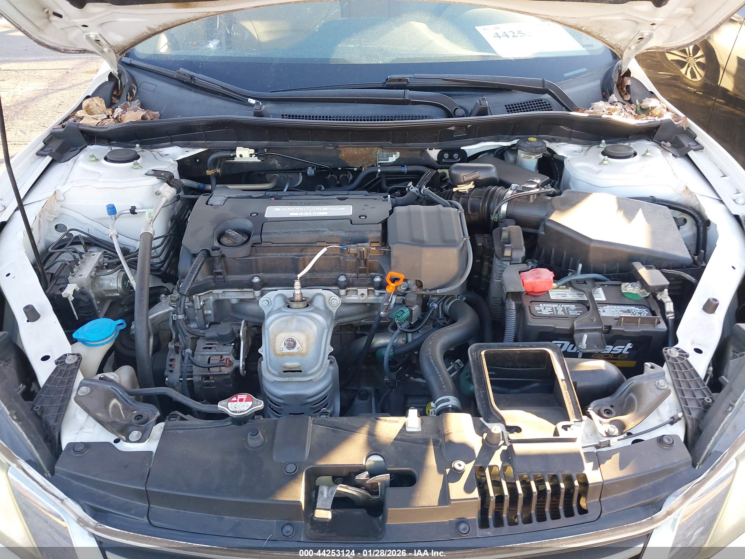 HONDA ACCORD image 10