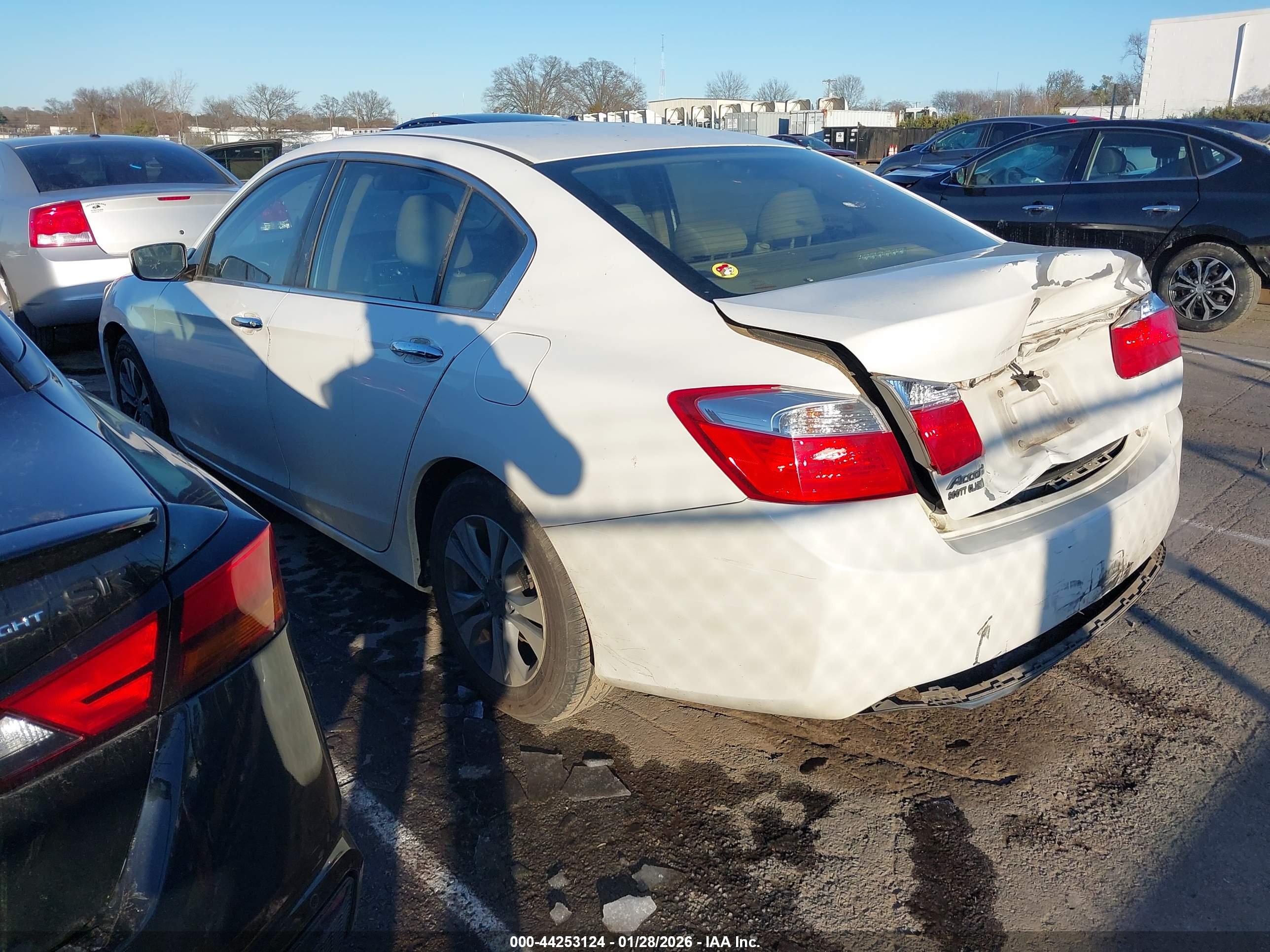 HONDA ACCORD image 3