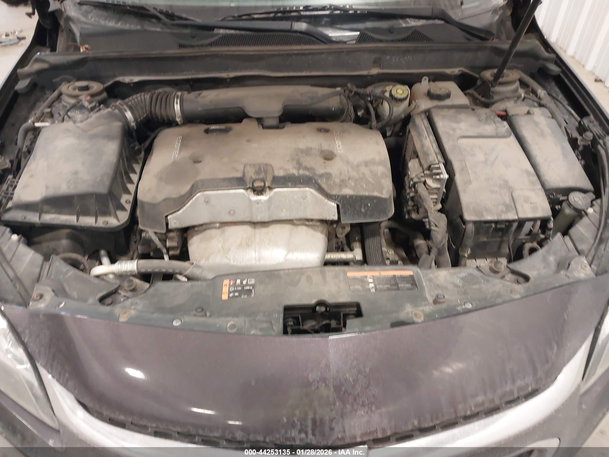 CHEVROLET MALIBU image 10