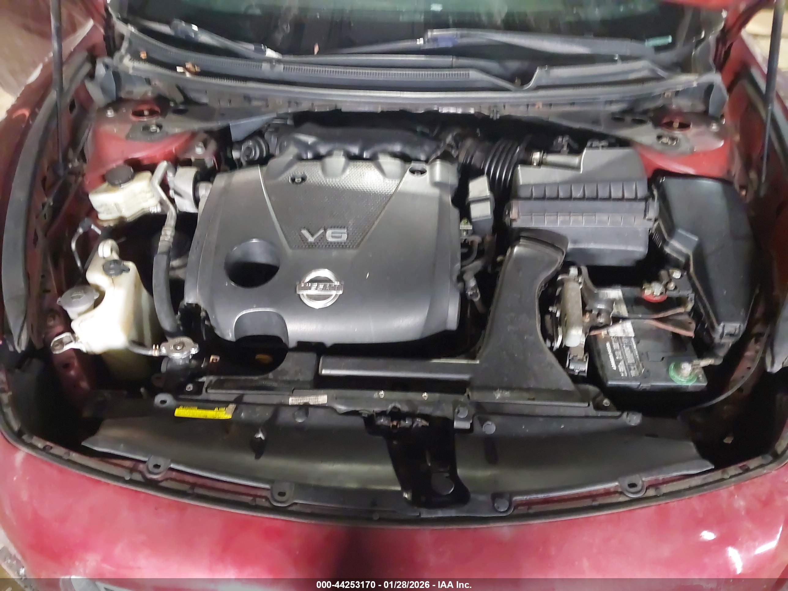 NISSAN MAXIMA image 10