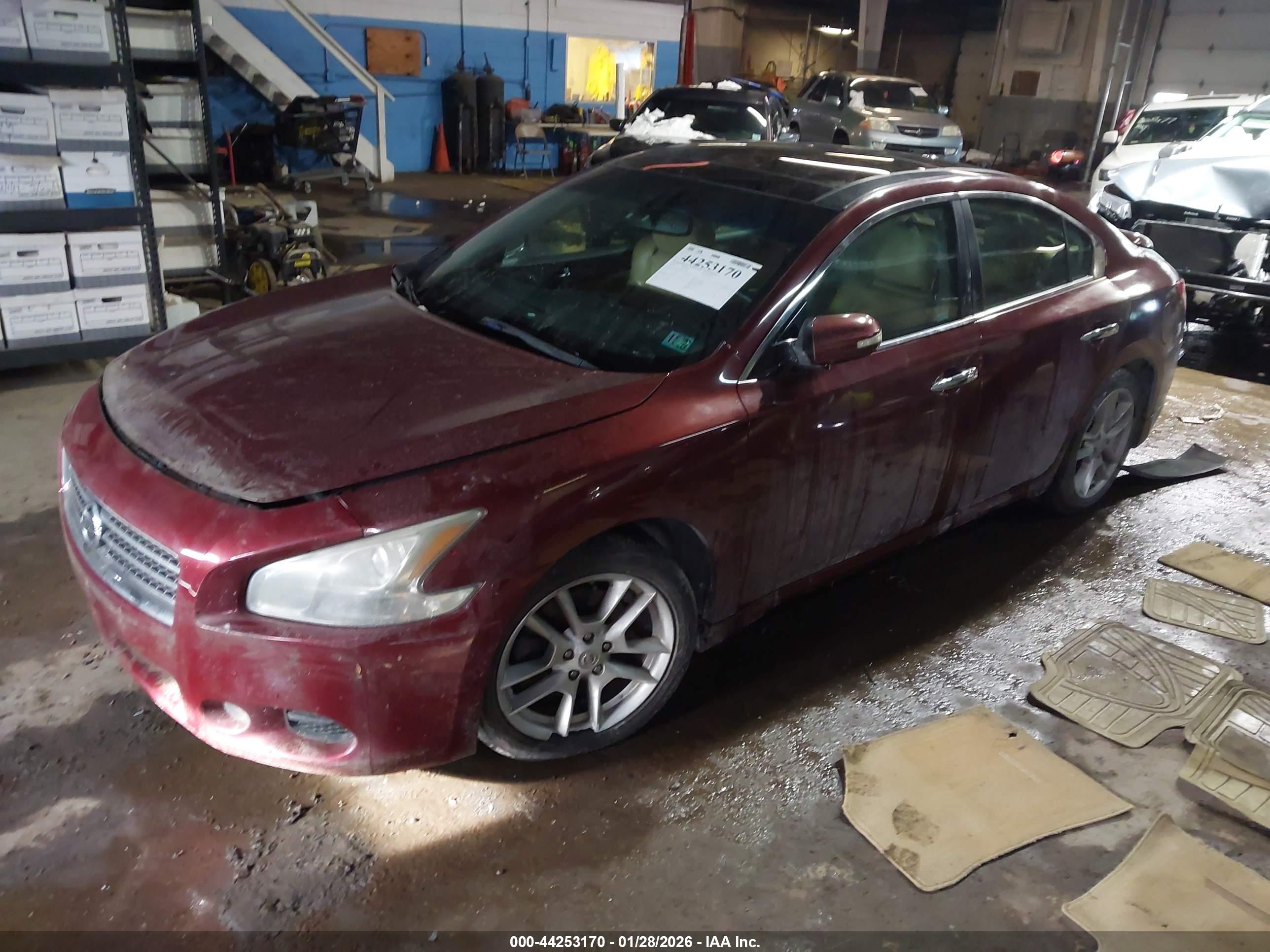 NISSAN MAXIMA image 2
