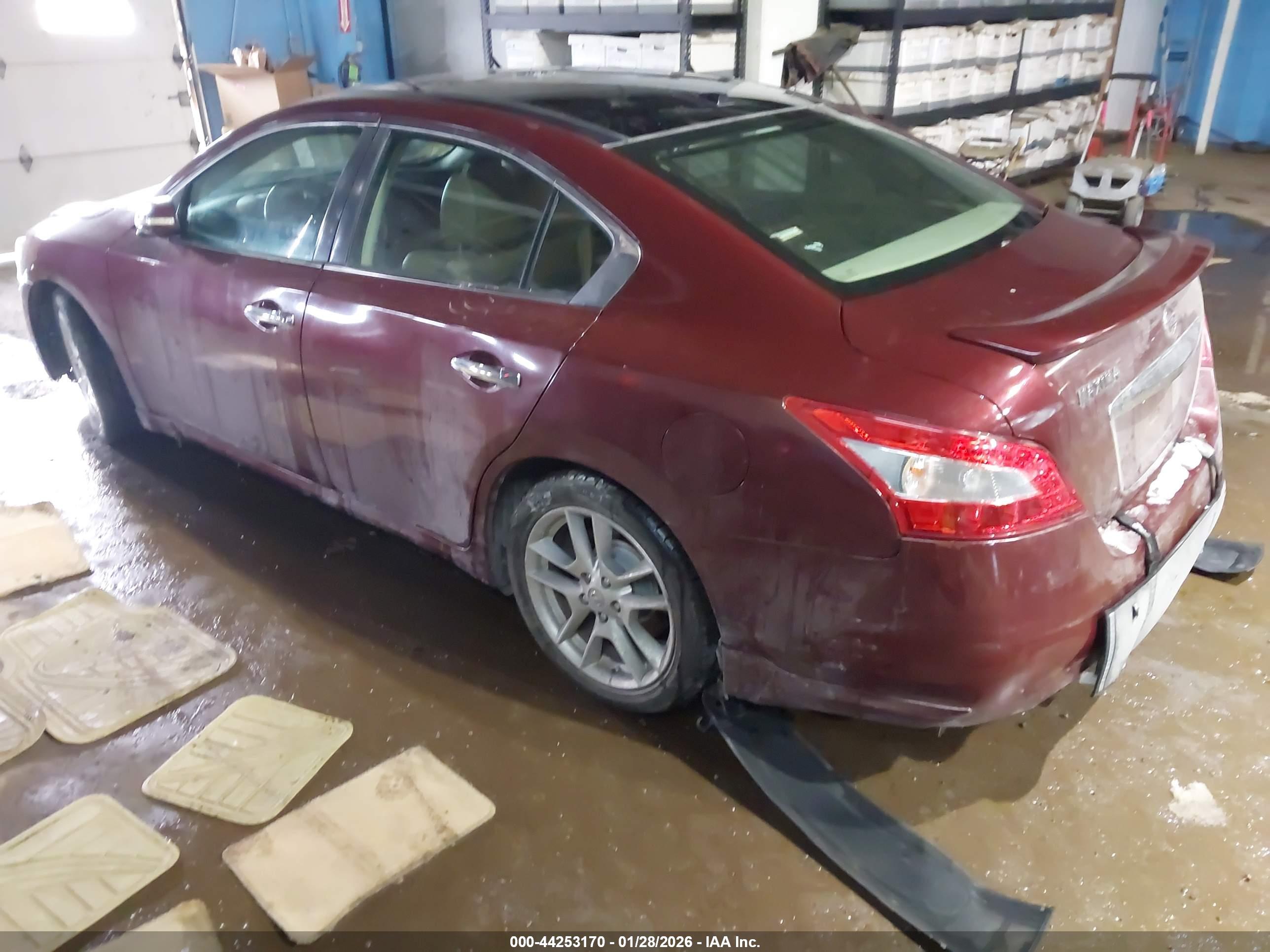 NISSAN MAXIMA image 3