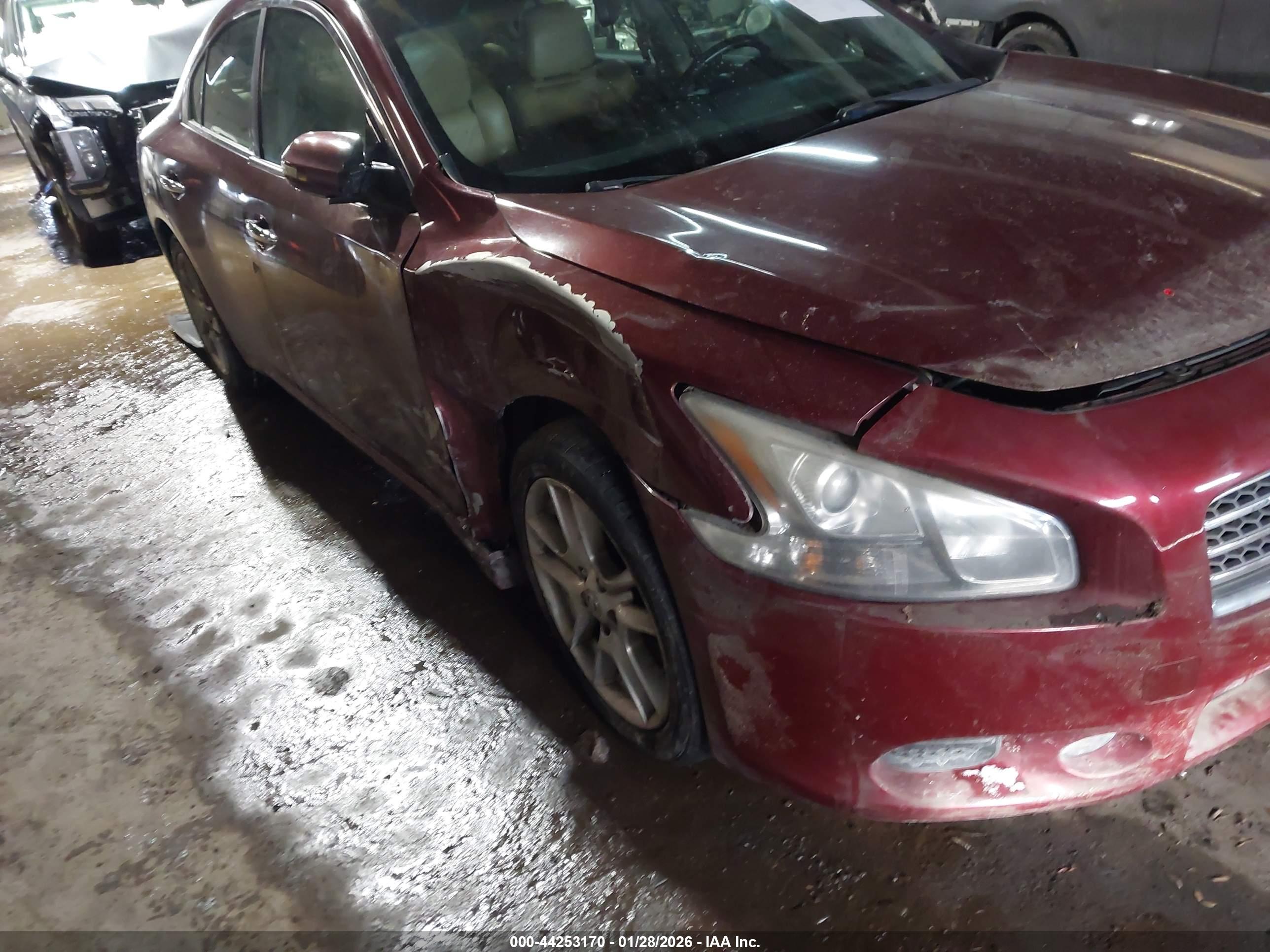 NISSAN MAXIMA image 6