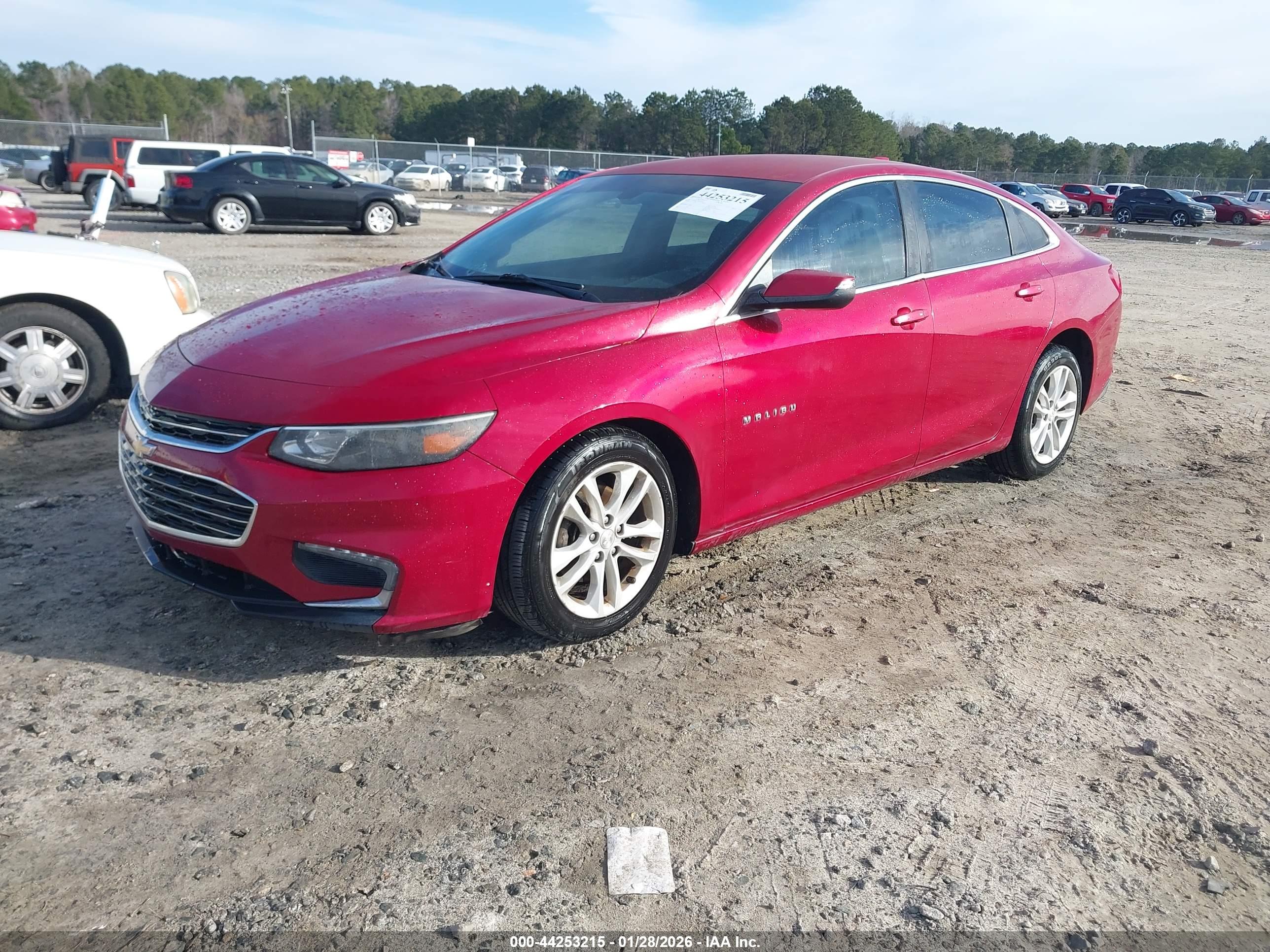 CHEVROLET MALIBU image 2