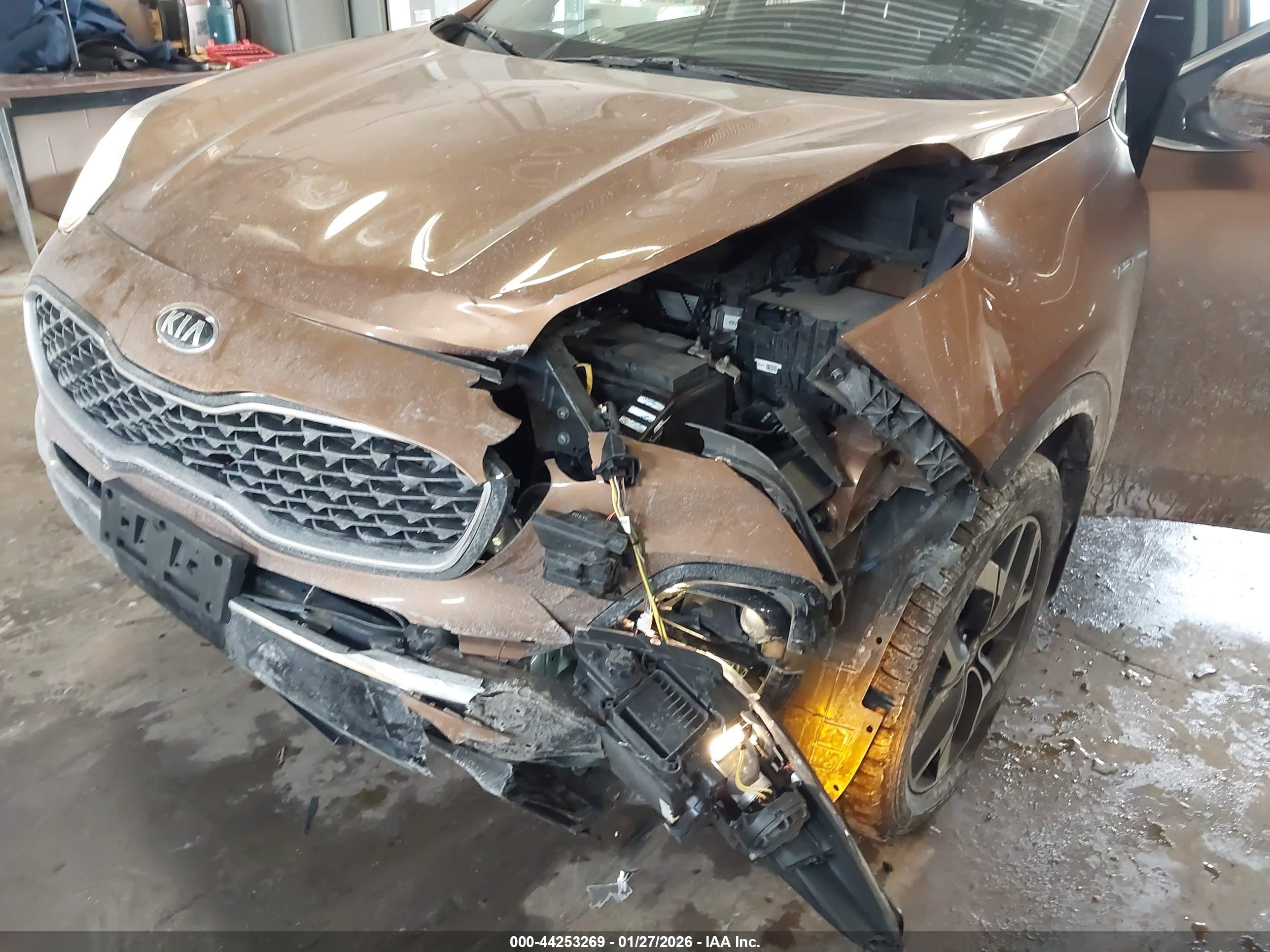 KIA SPORTAGE image 6