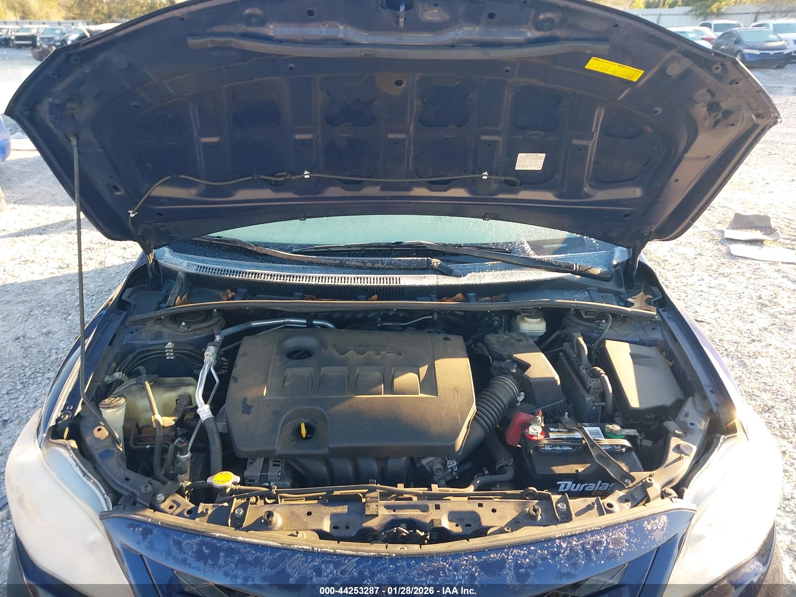 TOYOTA COROLLA image 10