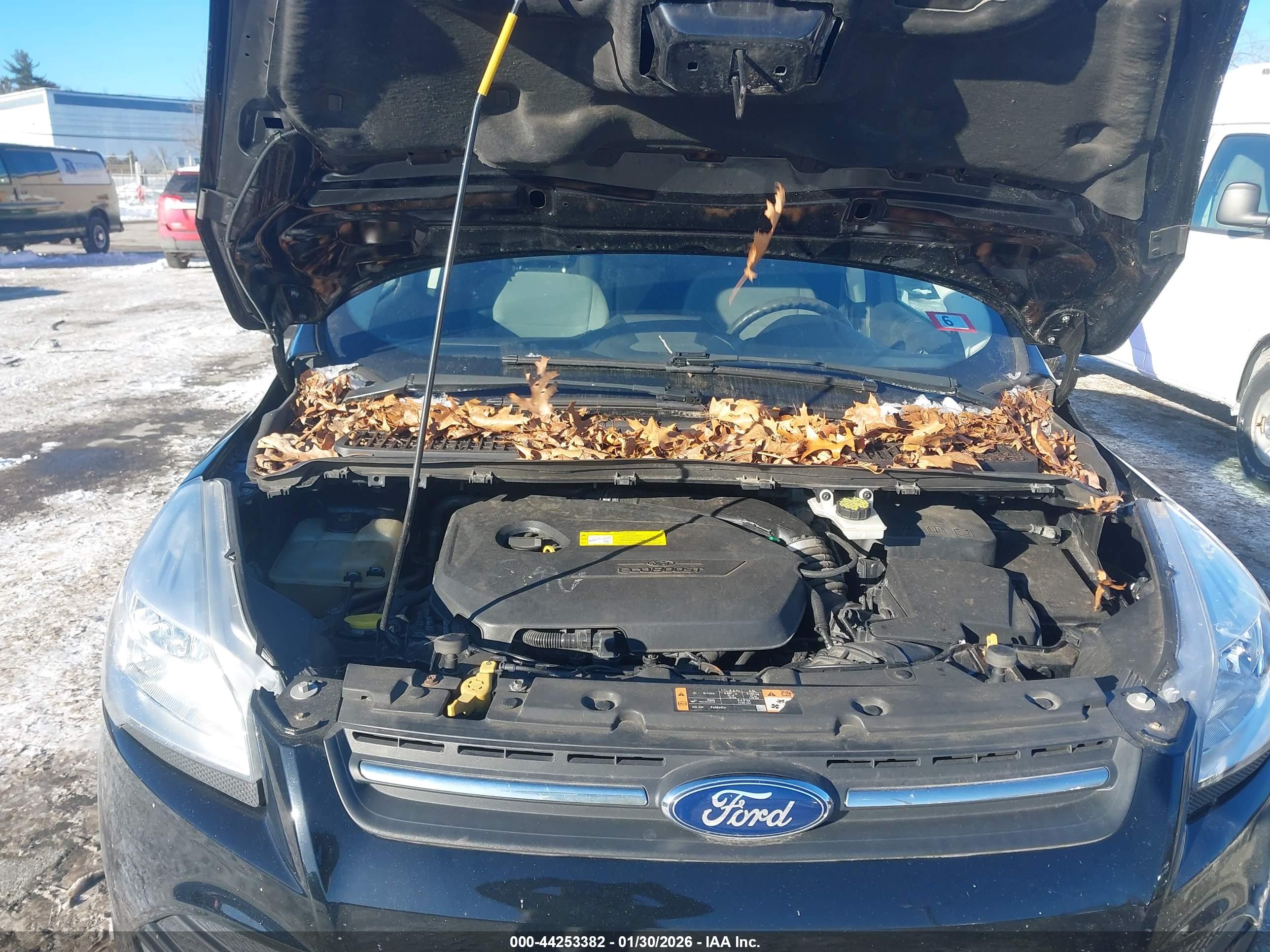FORD ESCAPE image 10