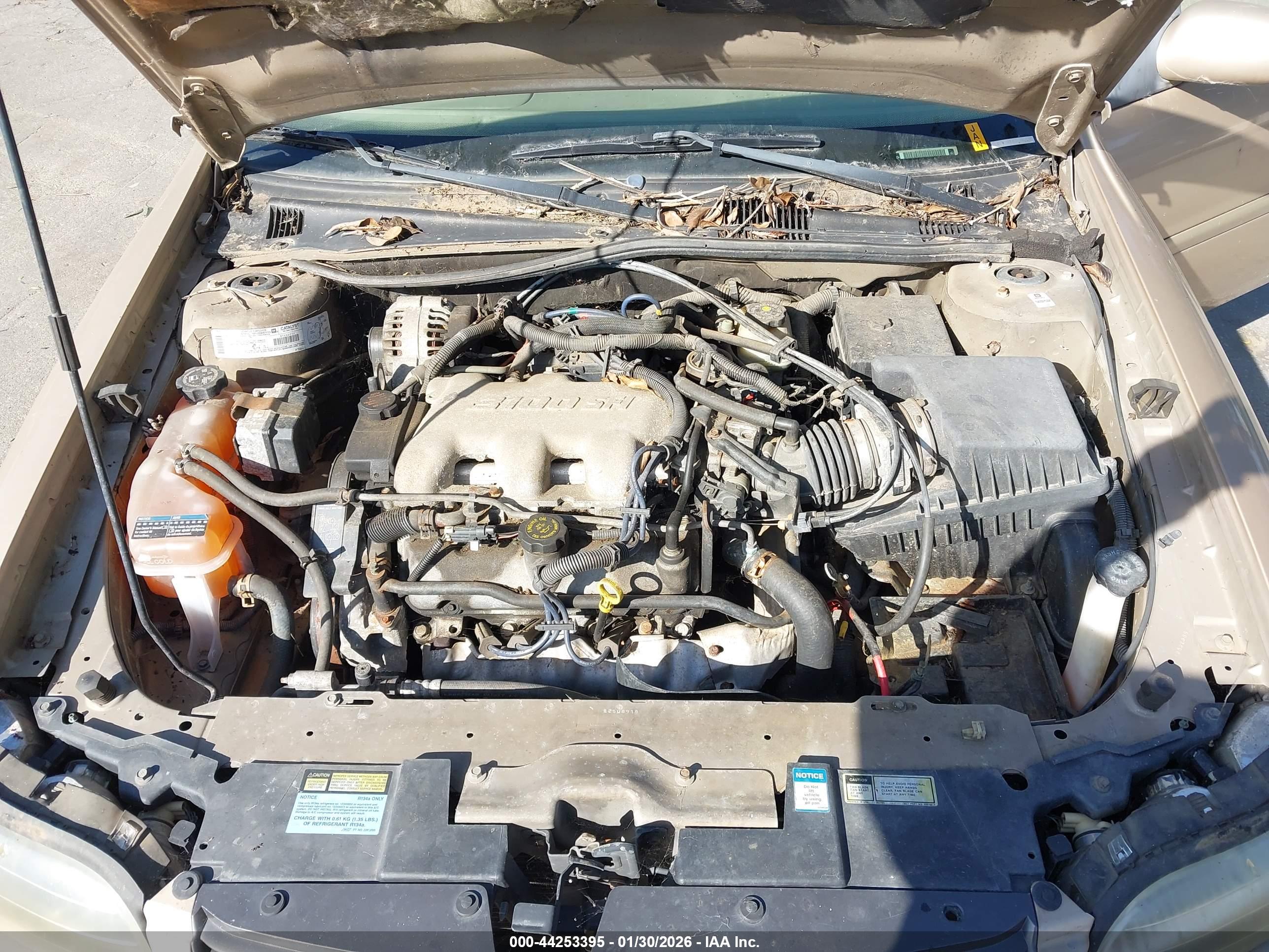 CHEVROLET MALIBU image 10