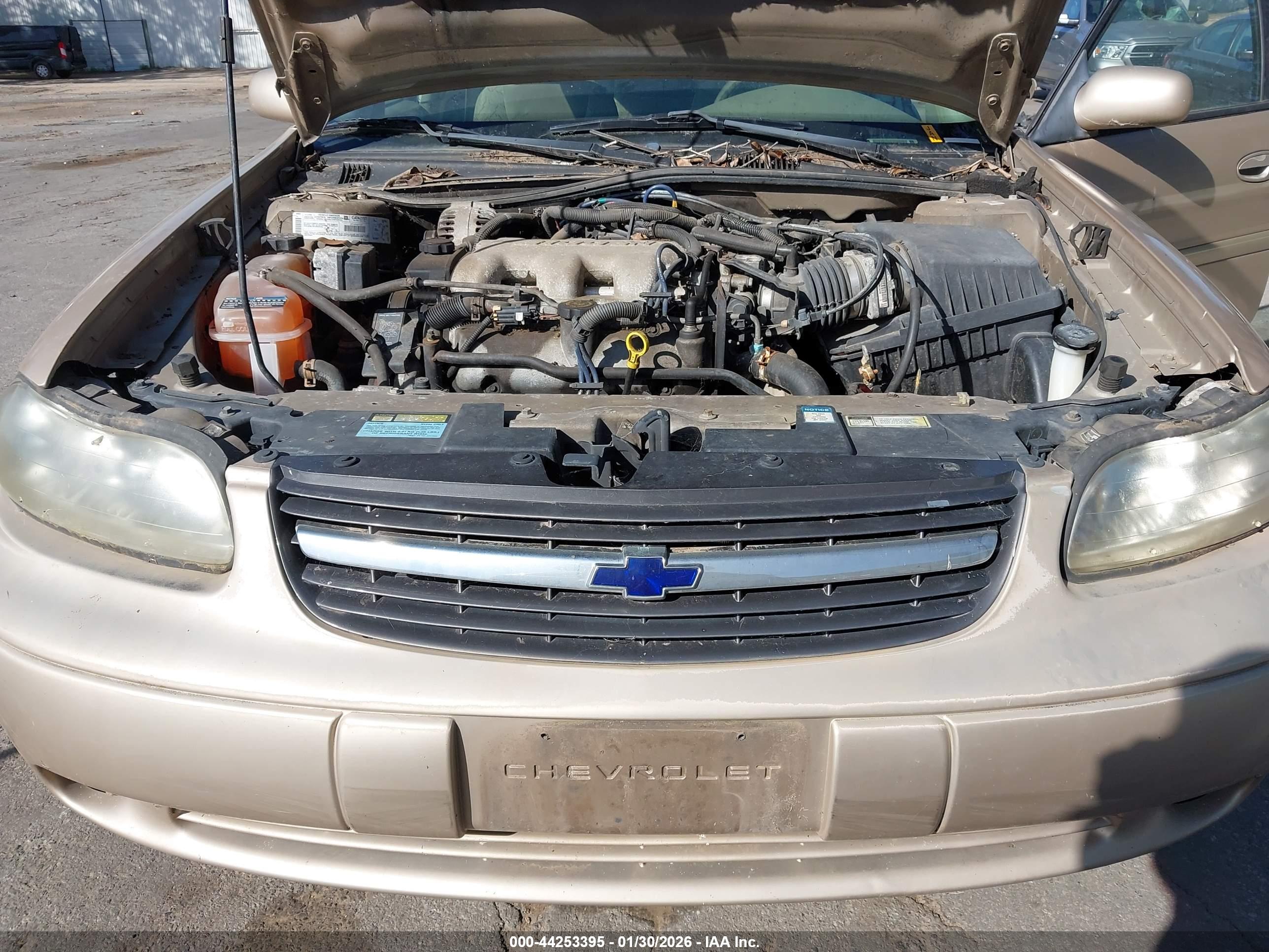 CHEVROLET MALIBU image 6