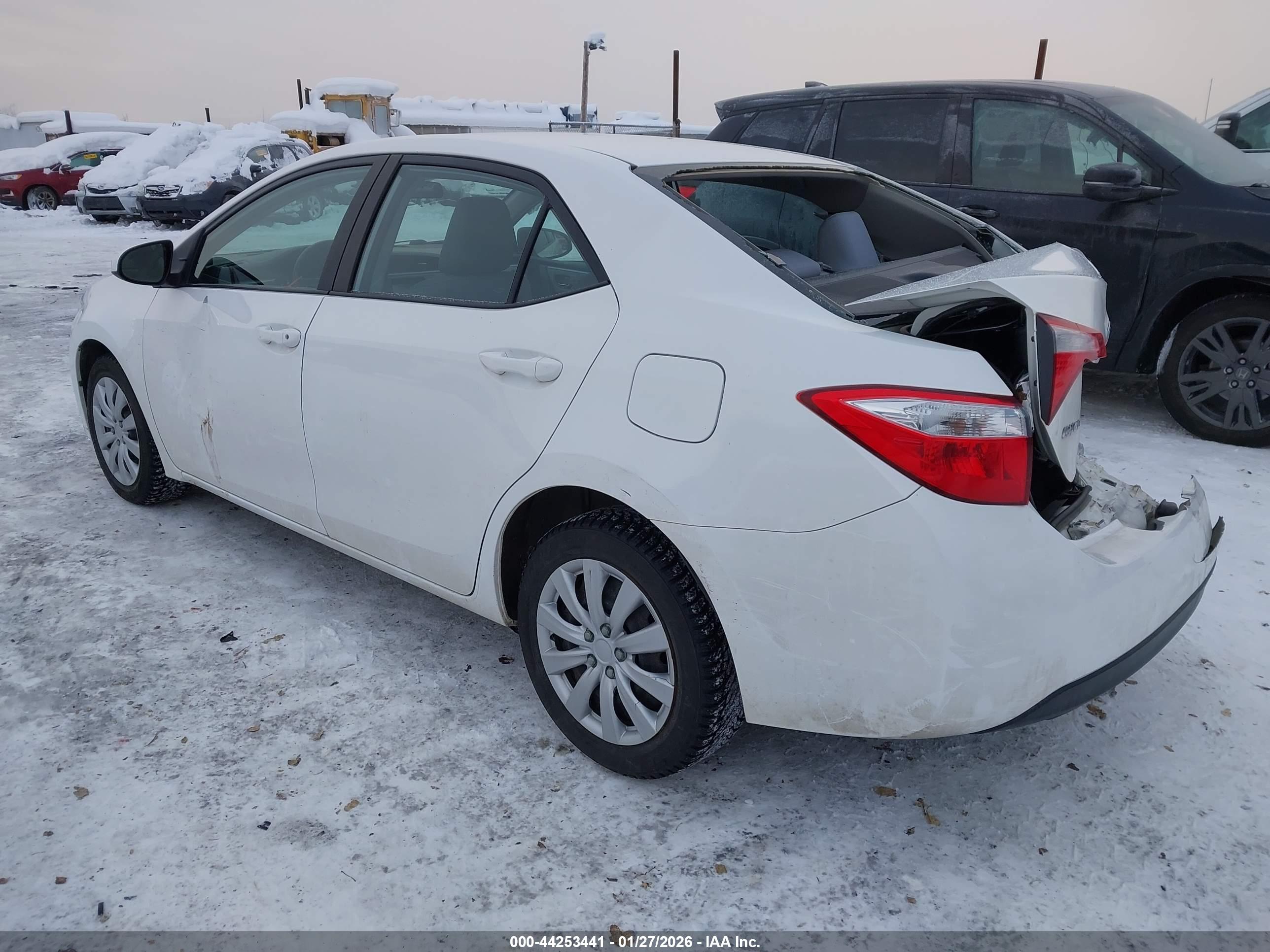 TOYOTA COROLLA image 3