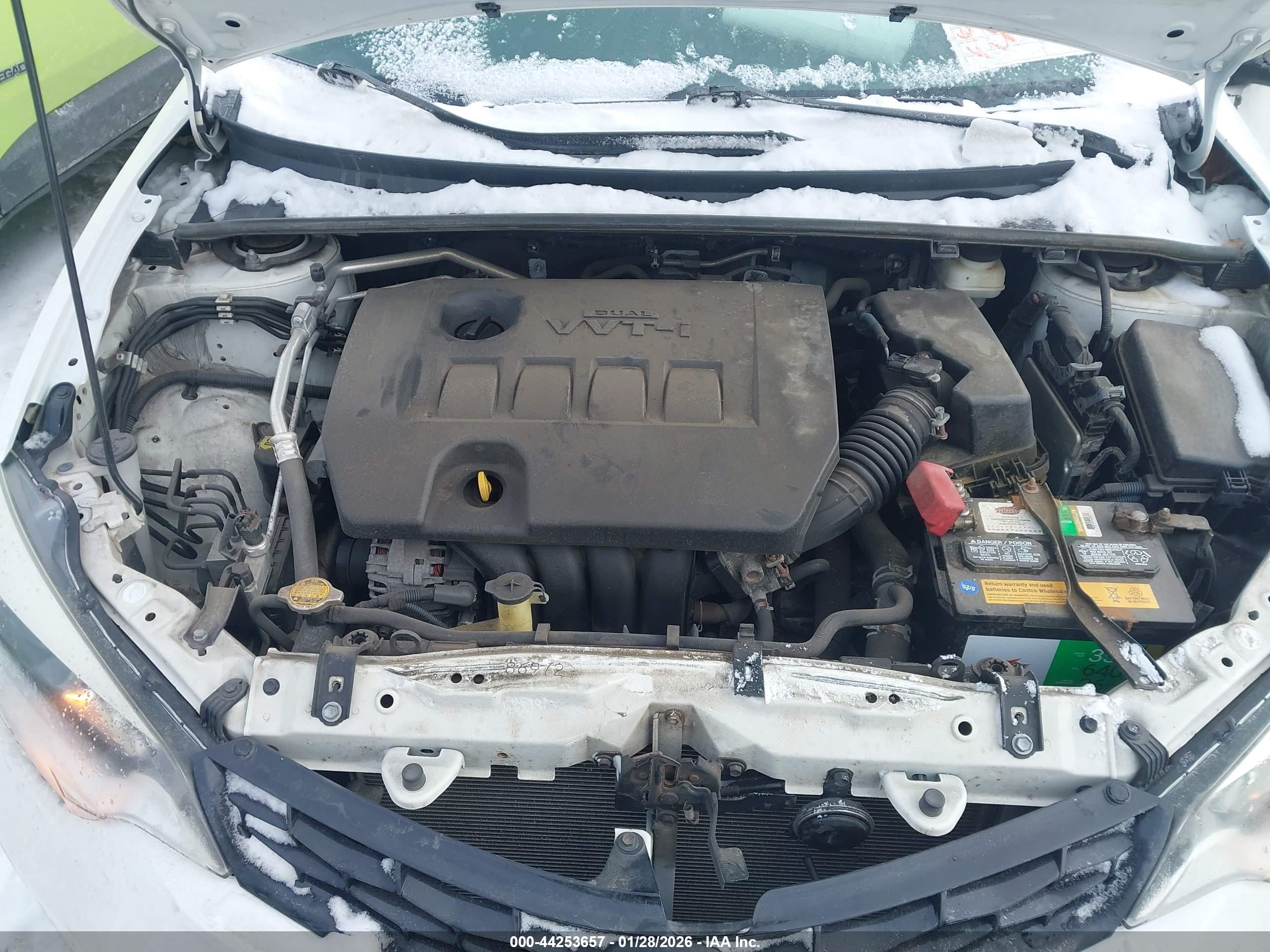 TOYOTA COROLLA image 10