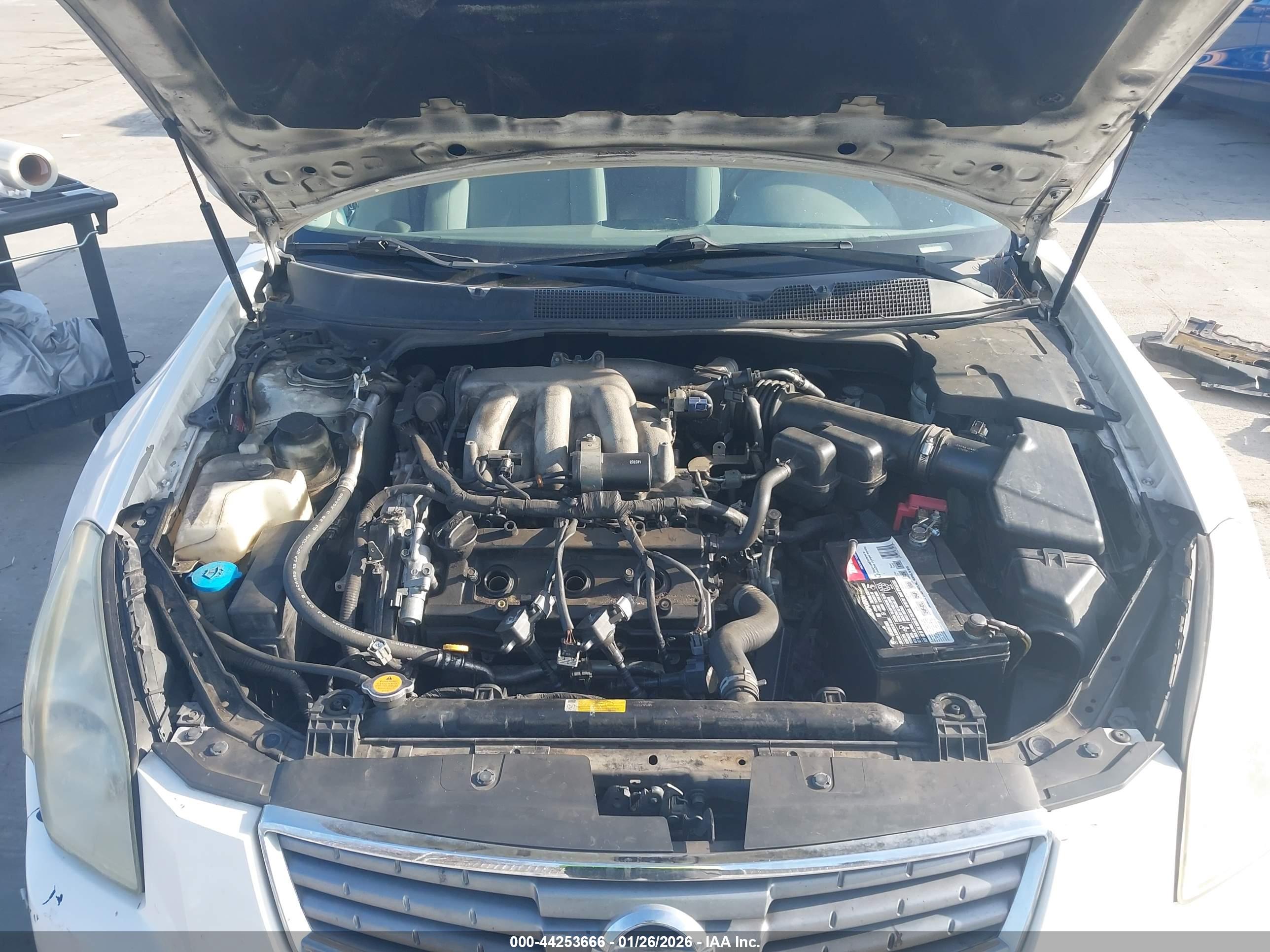 NISSAN MAXIMA image 10