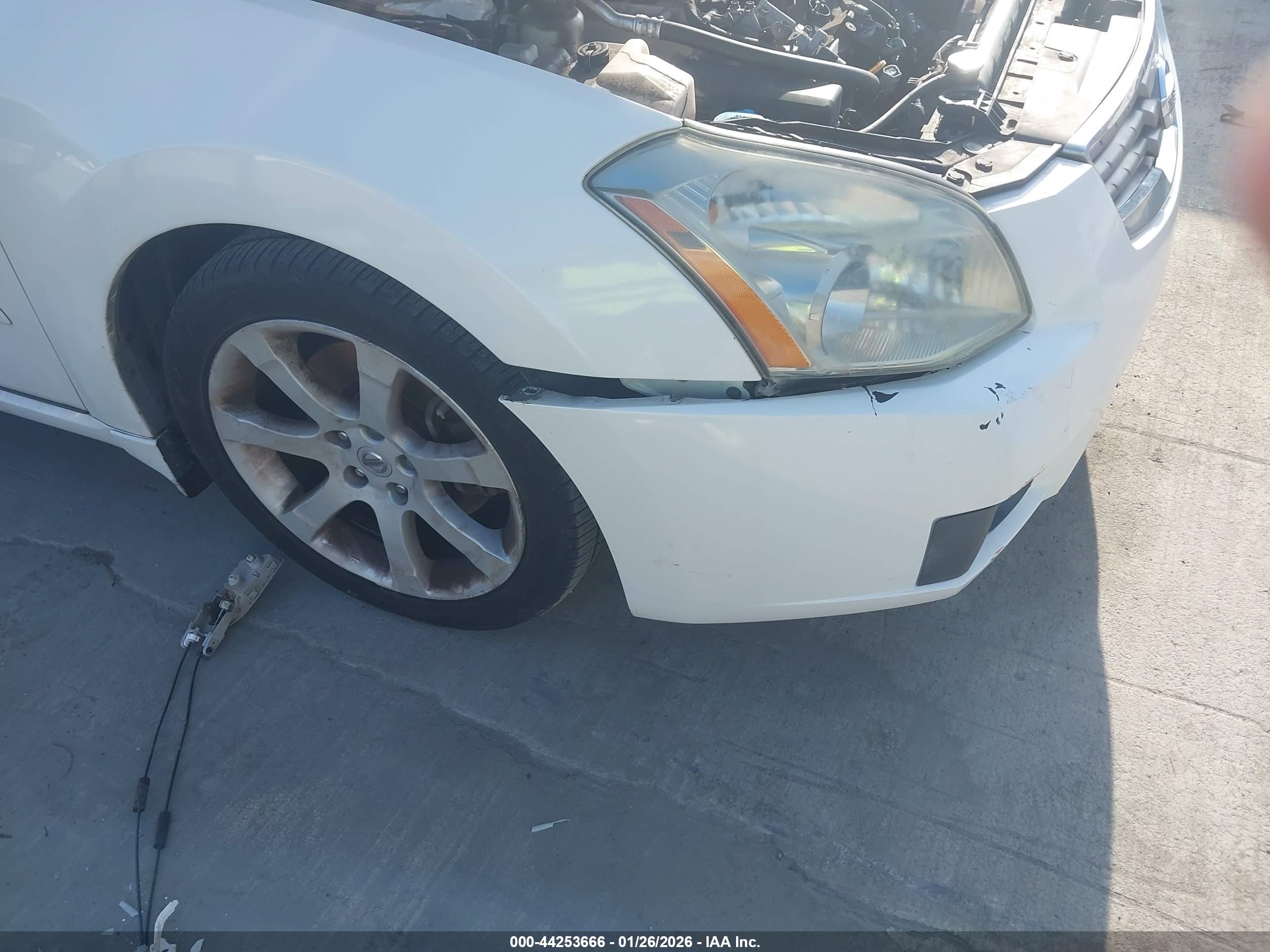NISSAN MAXIMA image 6