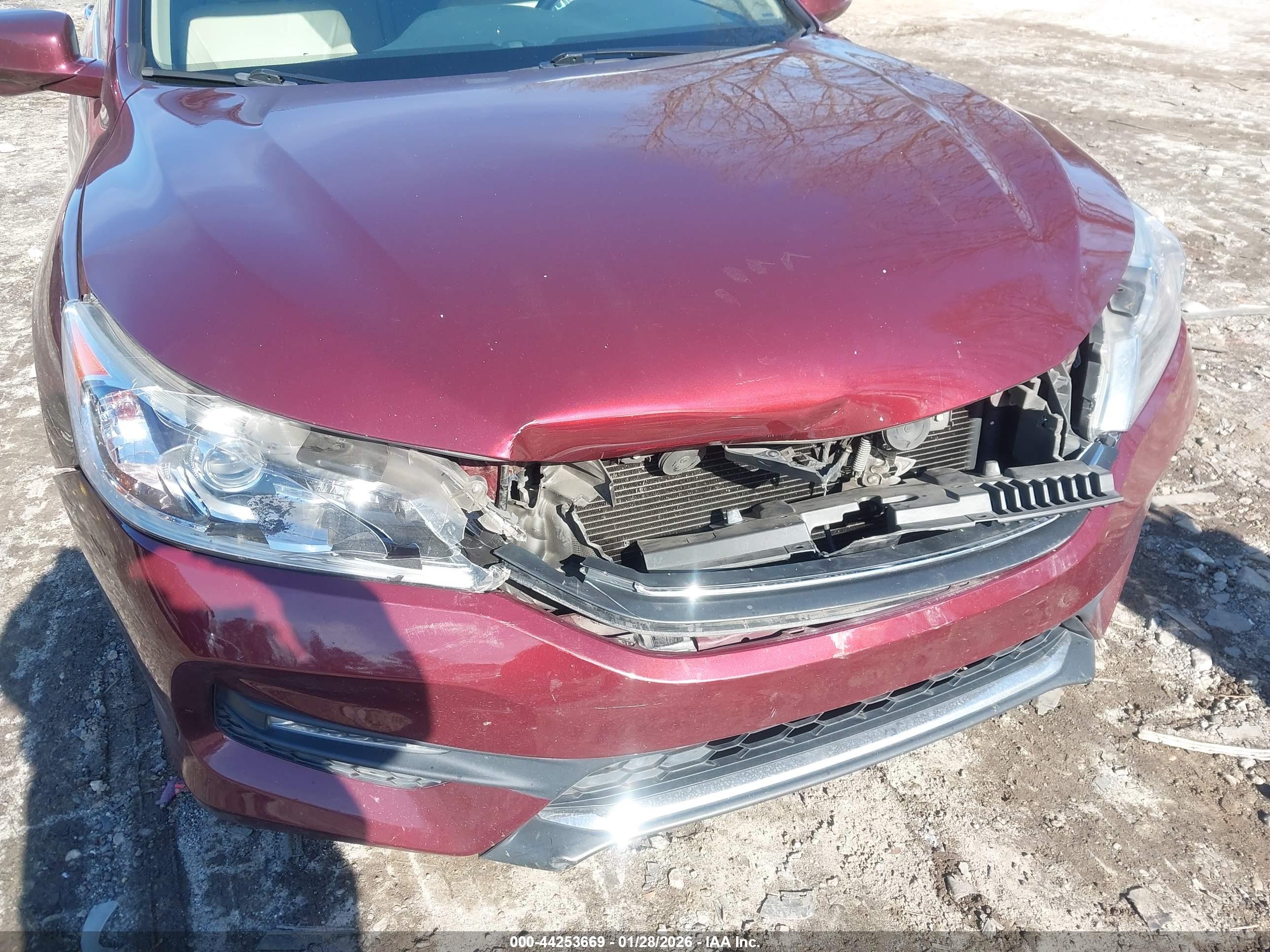 HONDA ACCORD image 6