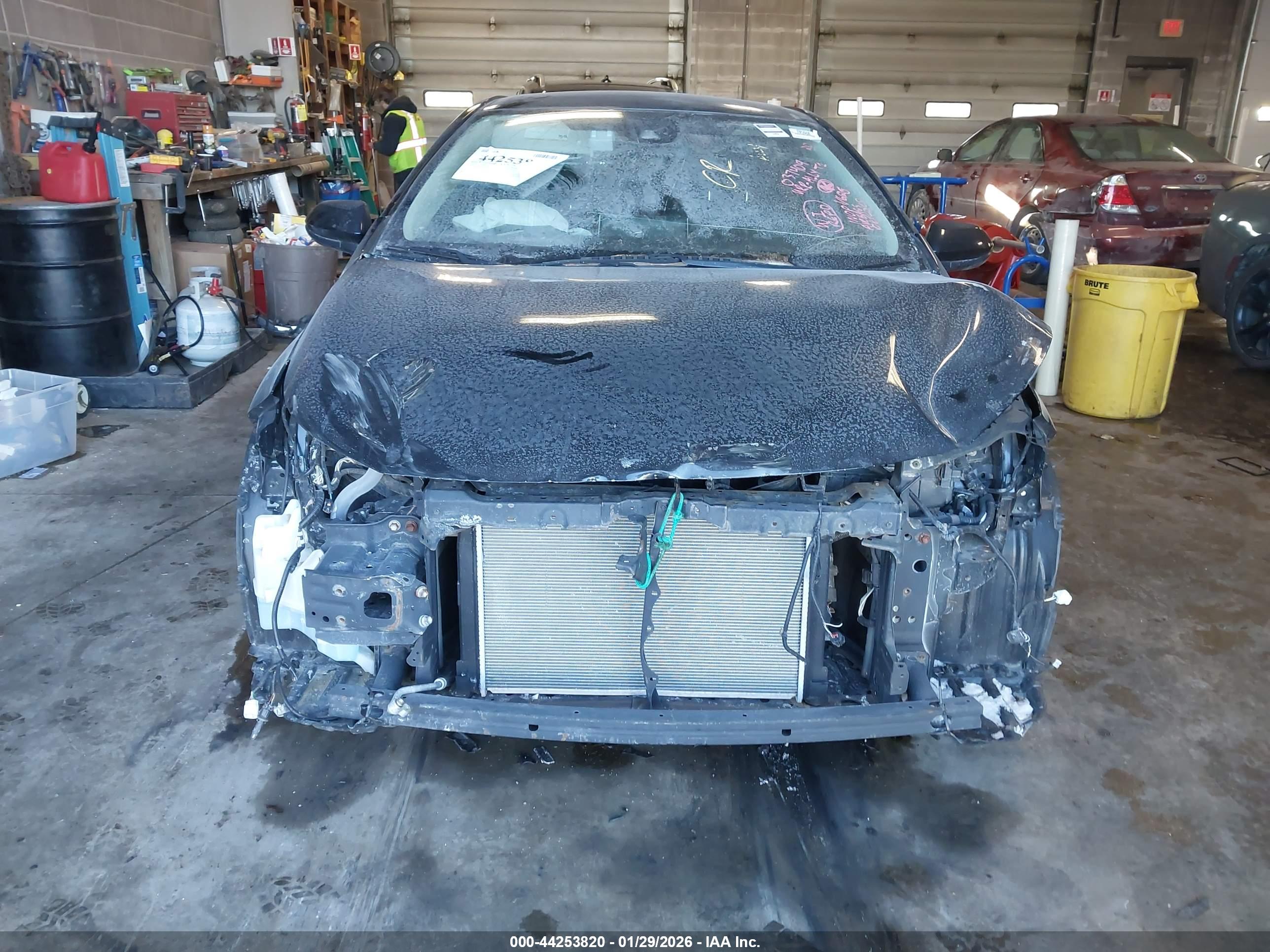 TOYOTA COROLLA image 6