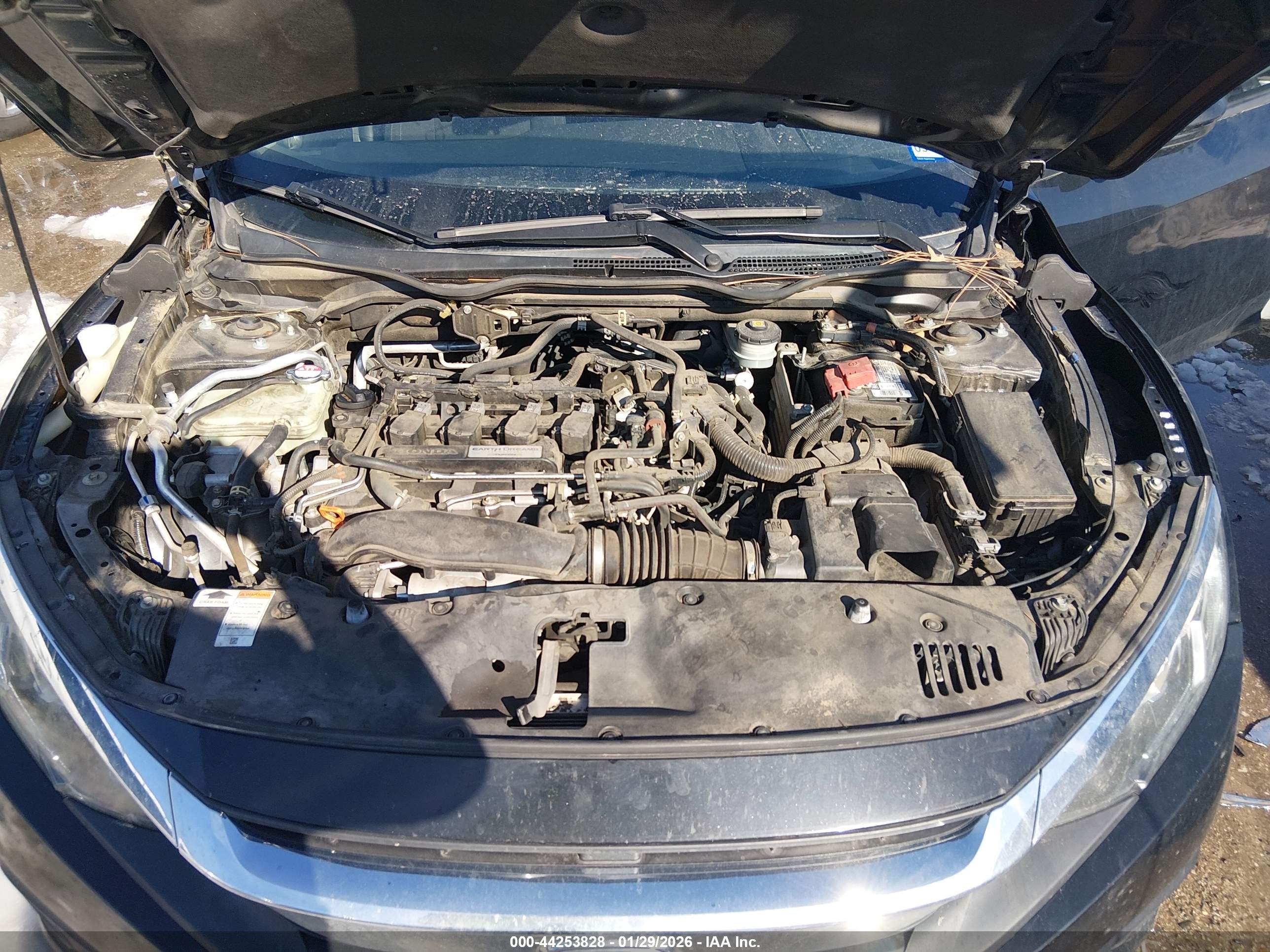 HONDA CIVIC image 10